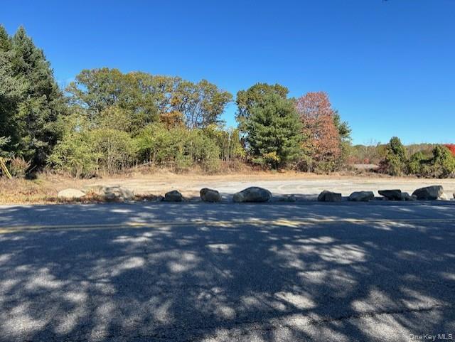 Single Family Osborne Hill Road  Dutchess County, NY 12590, MLS-906260-29