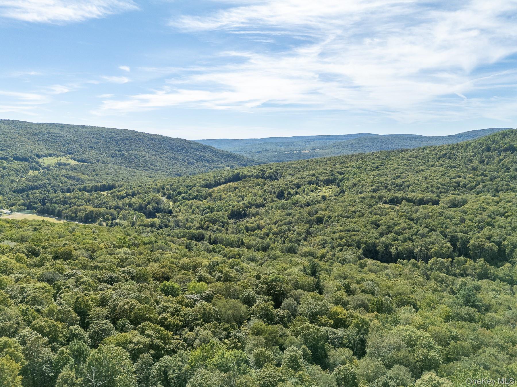 Single Family Alder Creek Ulster County, NY 12758, MLS-906428-14