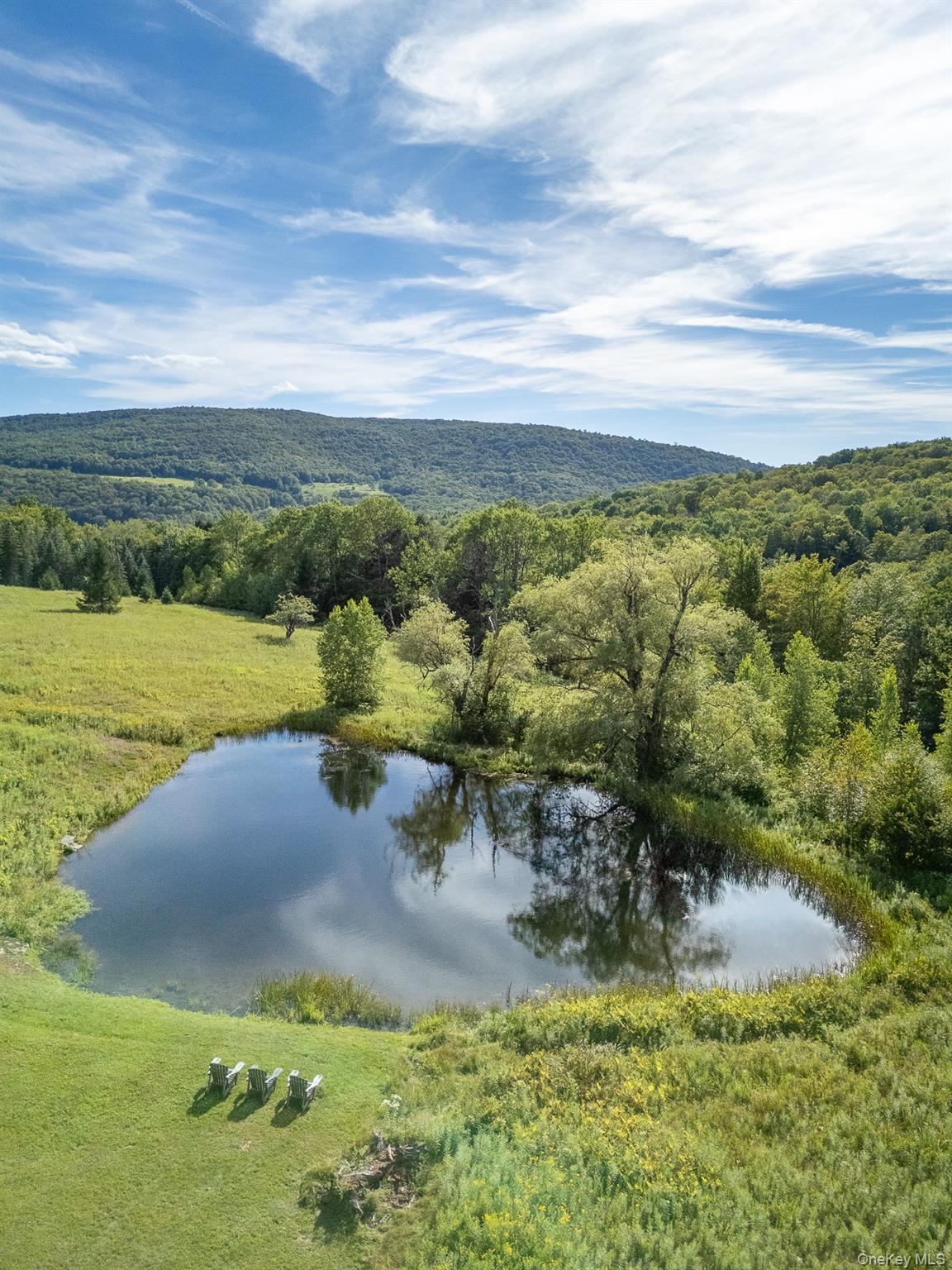 Single Family Alder Creek Ulster County, NY 12758, MLS-906428-15