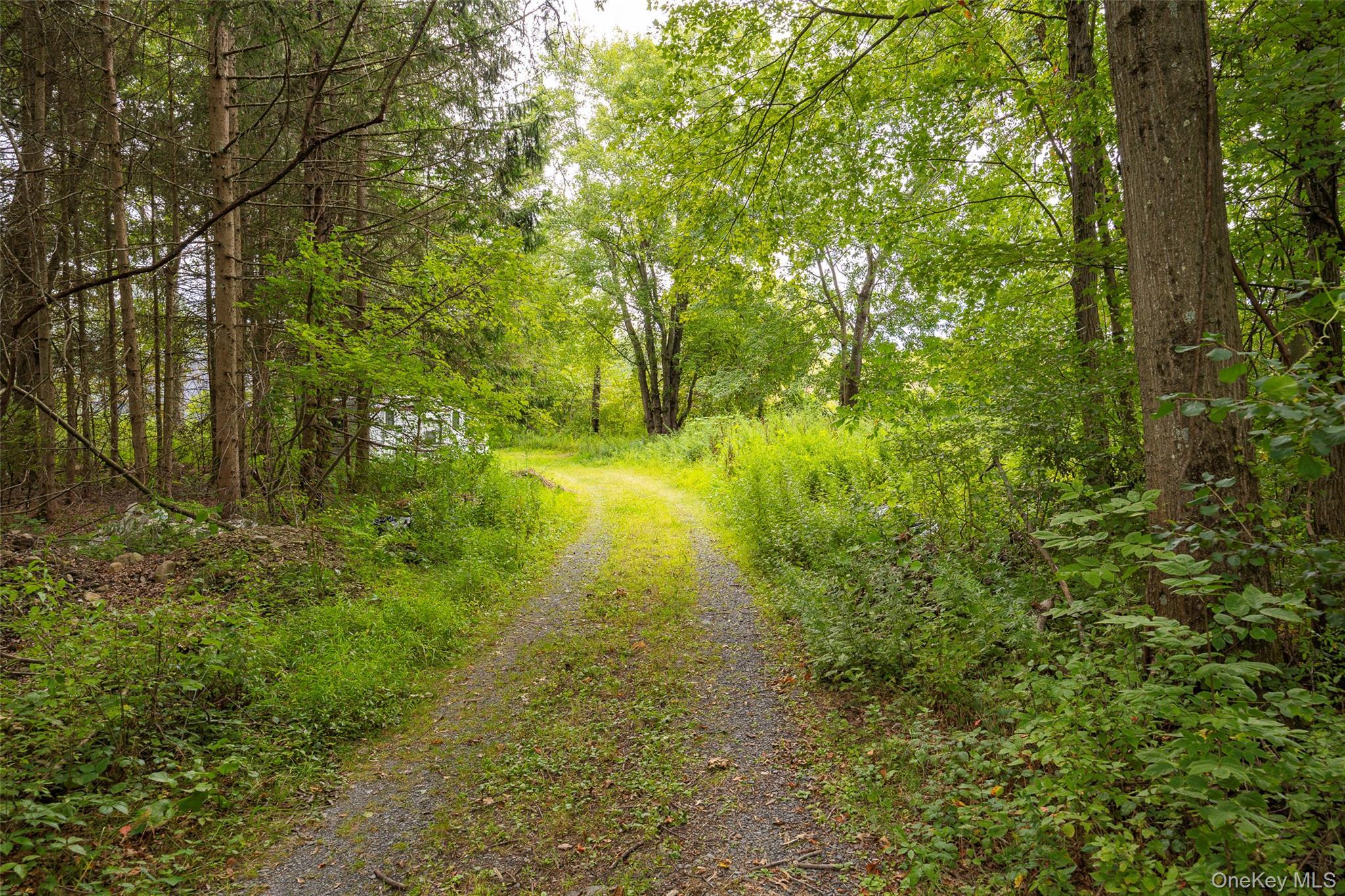 Single Family State Route 32  Orange County, NY 12589, MLS-906441-20