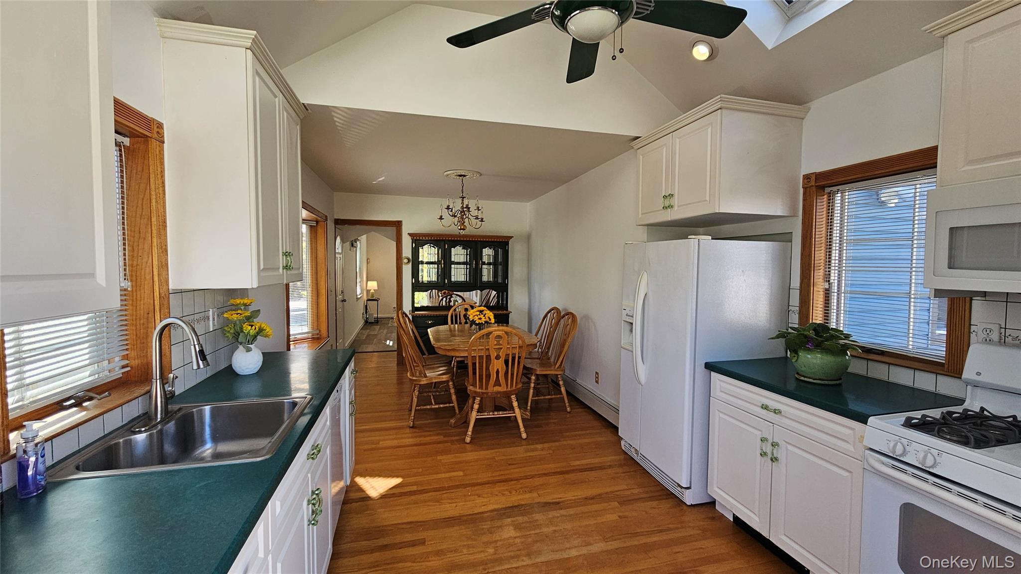 Single Family Hillside Nassau County, NY 11040, MLS-906518-3