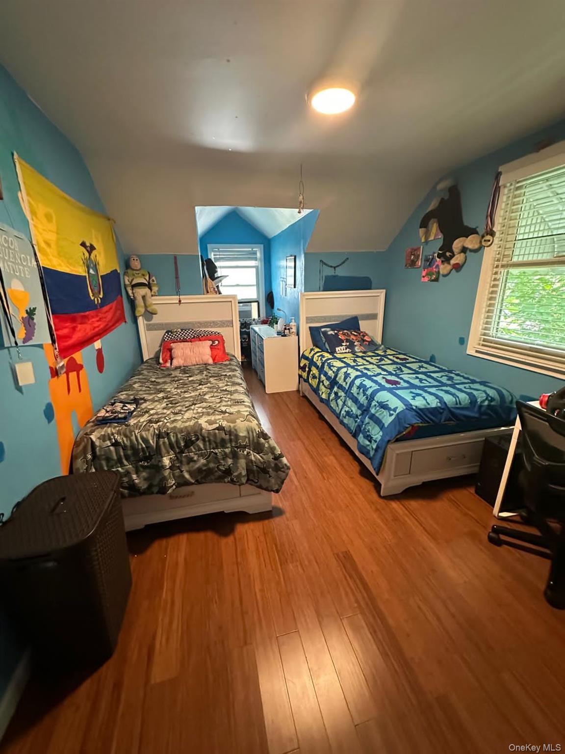 Single Family Adams  Nassau County, NY 11552, MLS-906547-17