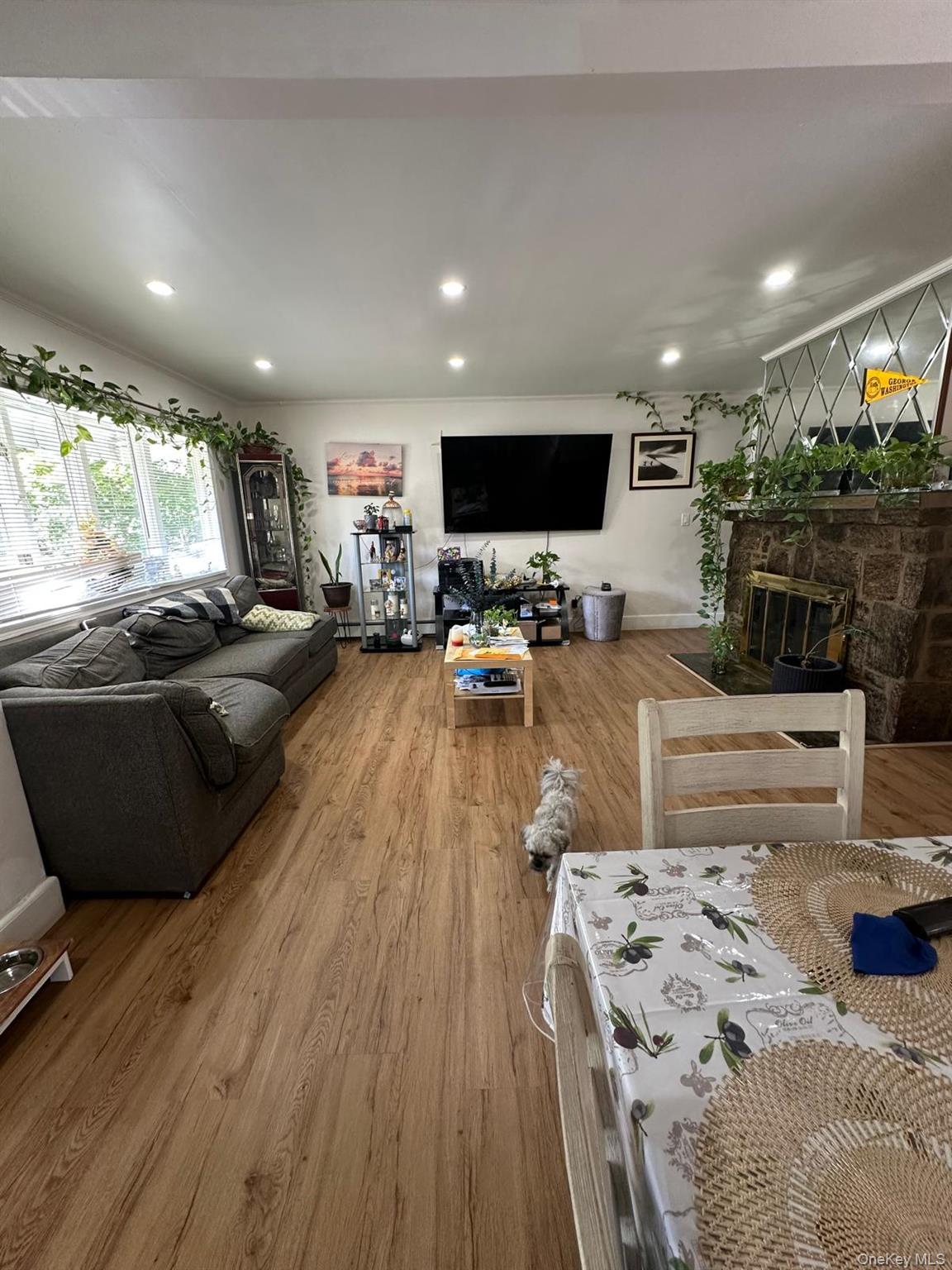 Single Family Adams  Nassau County, NY 11552, MLS-906547-33