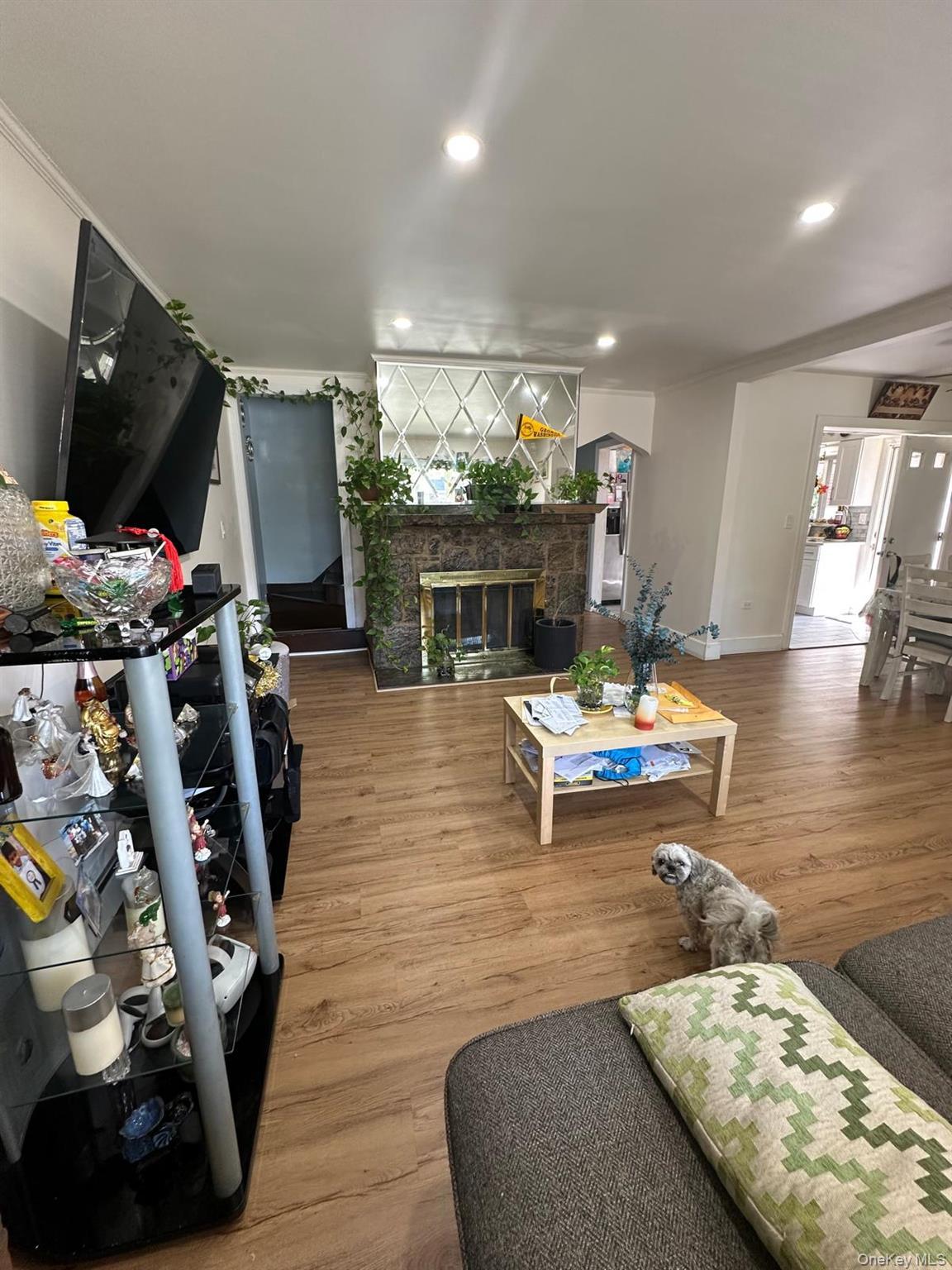 Single Family Adams  Nassau County, NY 11552, MLS-906547-35