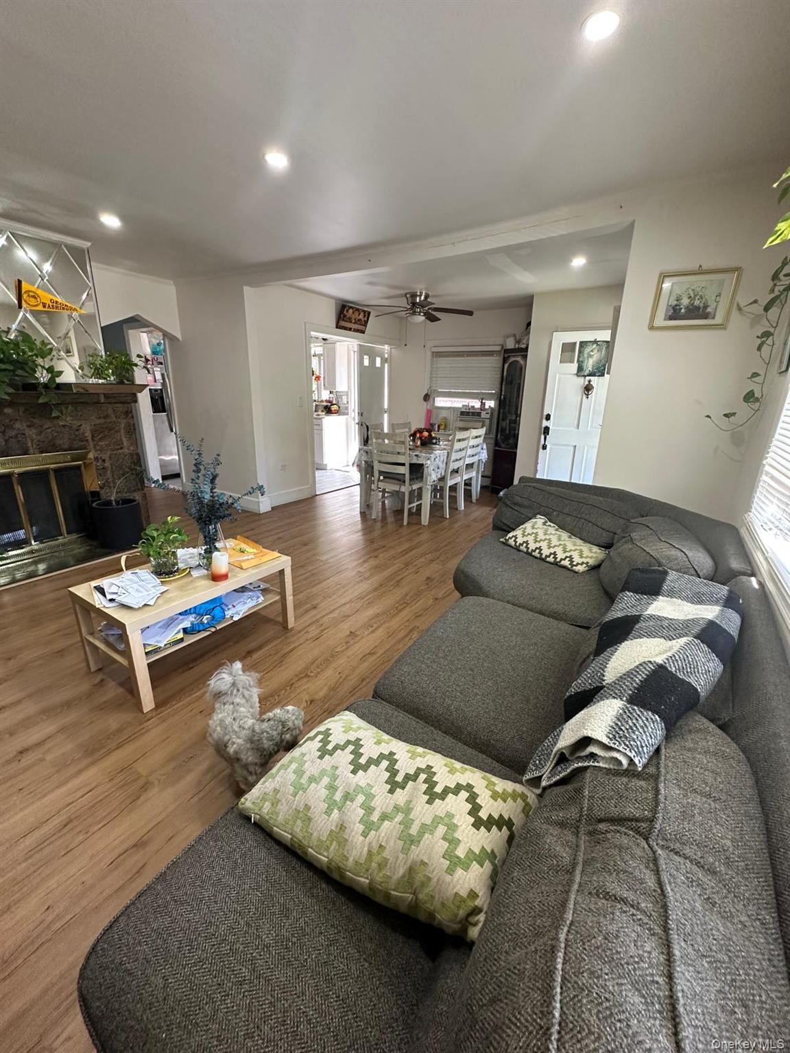 Single Family Adams  Nassau County, NY 11552, MLS-906547-4