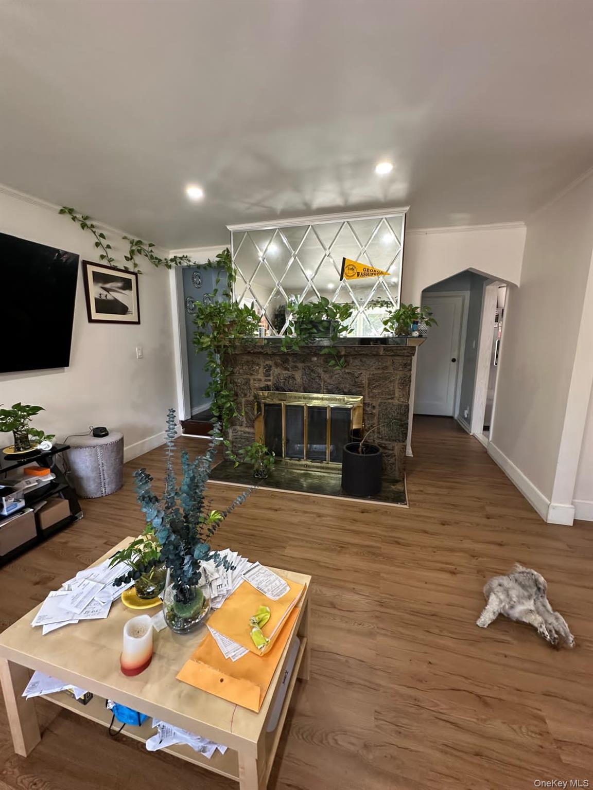 Single Family Adams  Nassau County, NY 11552, MLS-906547-6