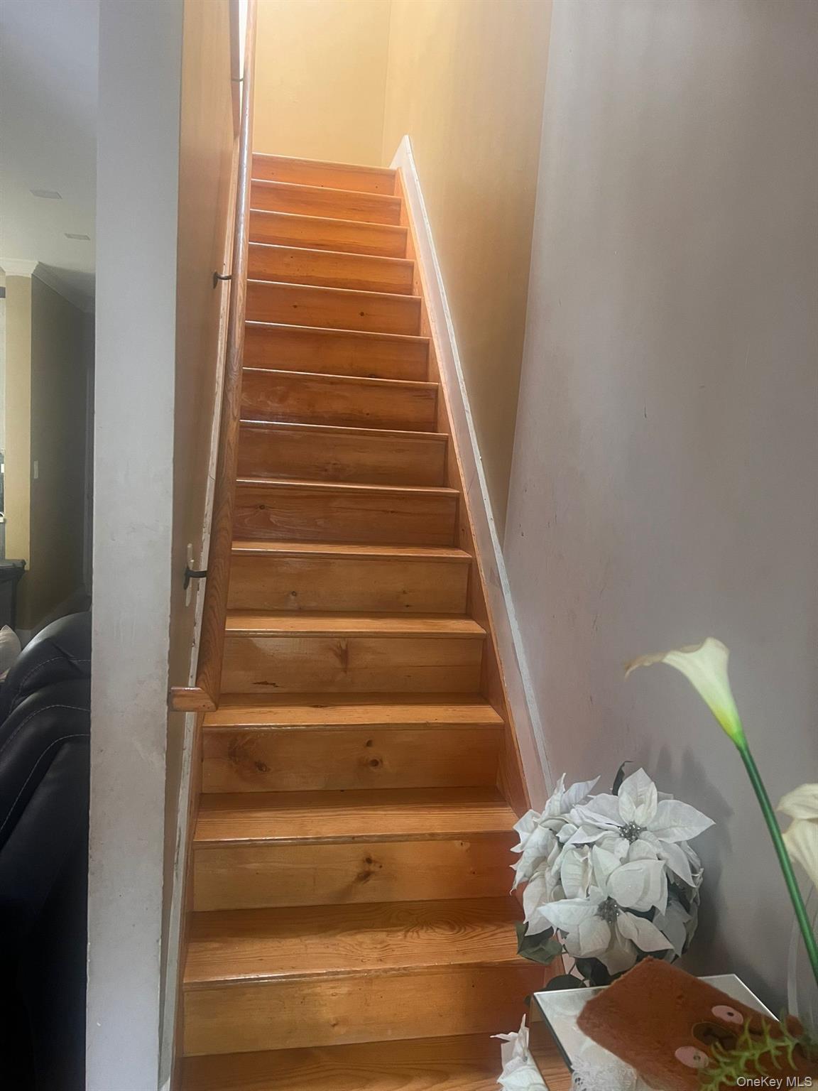 Single Family 205 Queens, NY 11412, MLS-906557-8