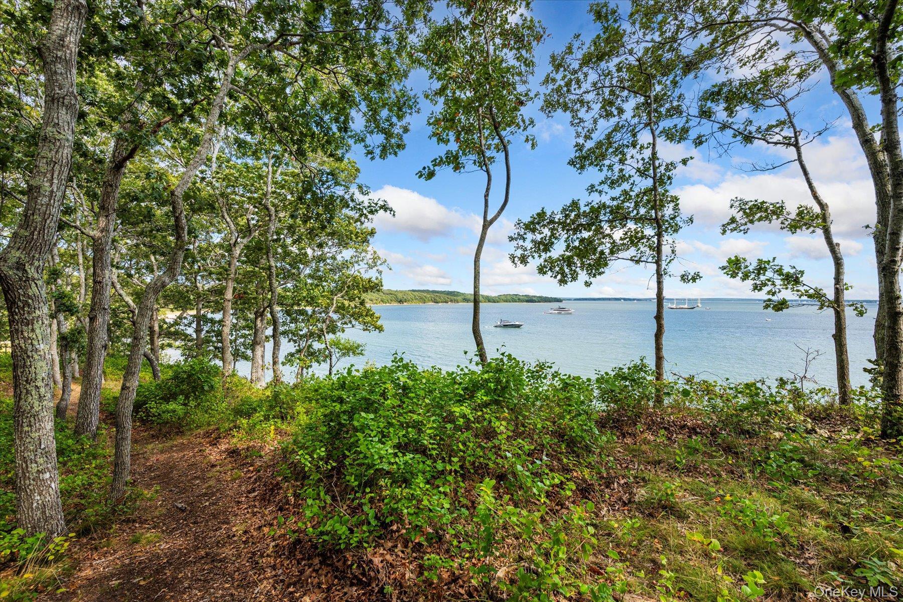 Single Family Thompson Suffolk County, NY 11964, MLS-906564-40