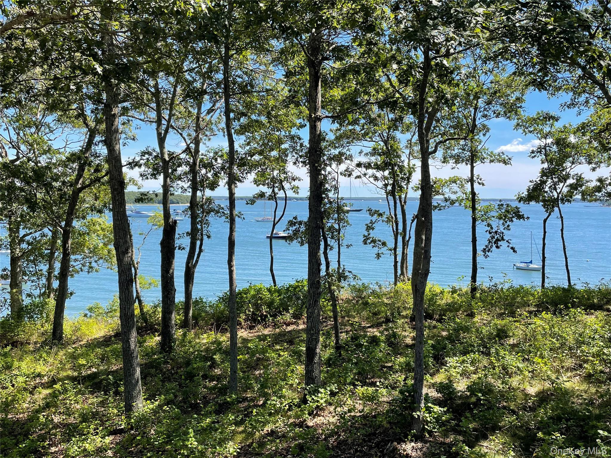 Single Family Thompson Suffolk County, NY 11964, MLS-906564-44