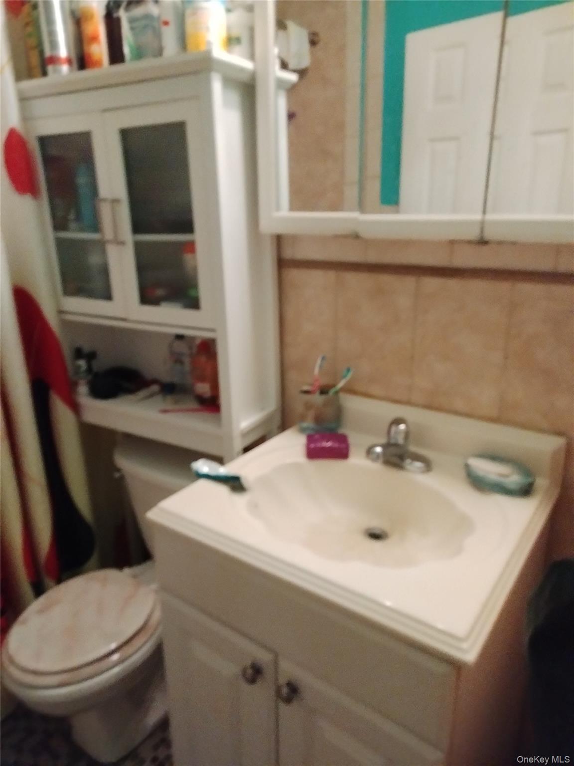 Single Family Paerdegat 9th  Brooklyn, NY 11236, MLS-906575-10