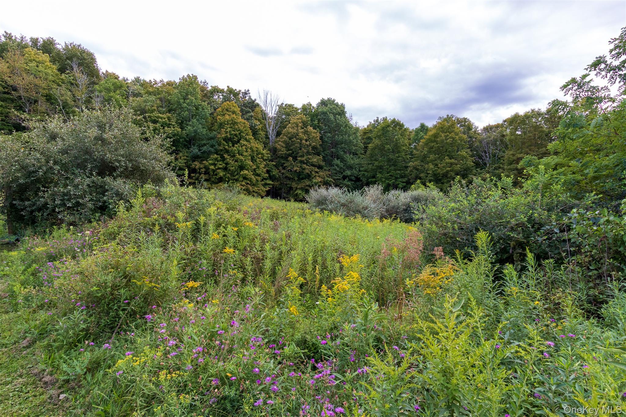 Single Family Battenfeld Dutchess County, NY 12571, MLS-906628-25