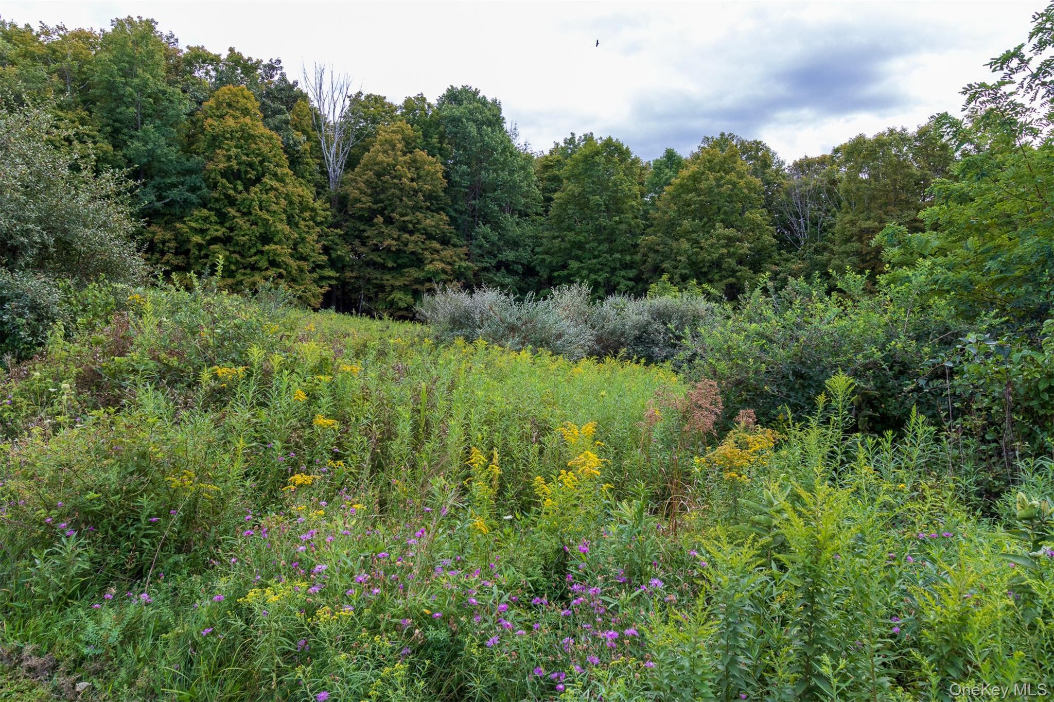 Single Family Battenfeld  Dutchess County, NY 12571, MLS-906628-26