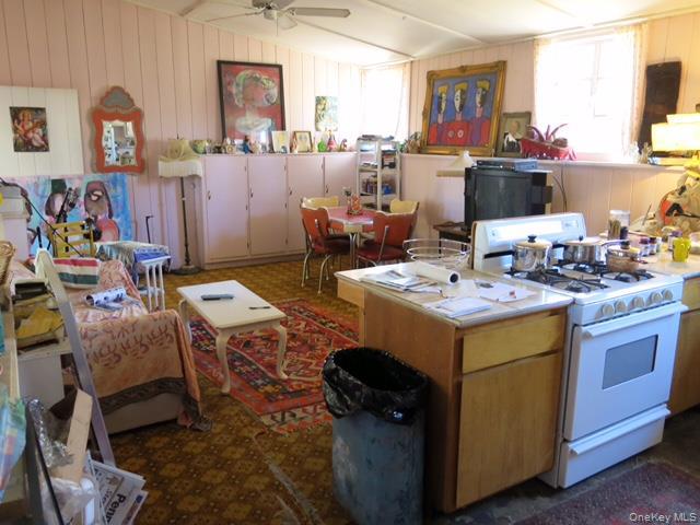 Single Family Route 212 Ulster County, NY 12477, MLS-906645-12