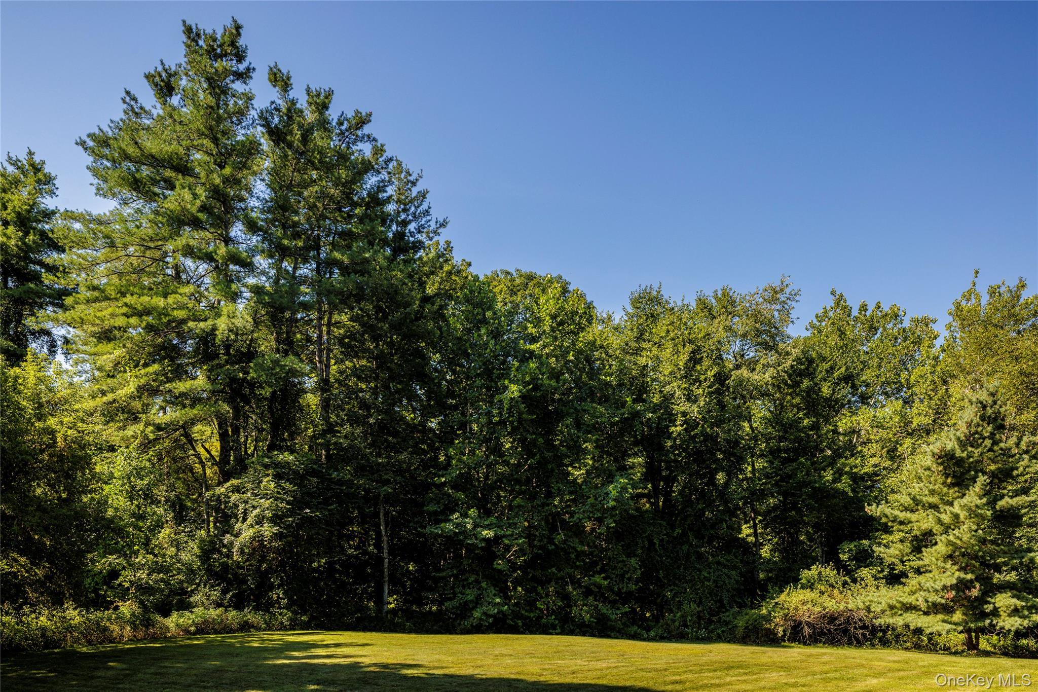 Single Family Green Brook Columbia County, NY 12024, MLS-906650-28