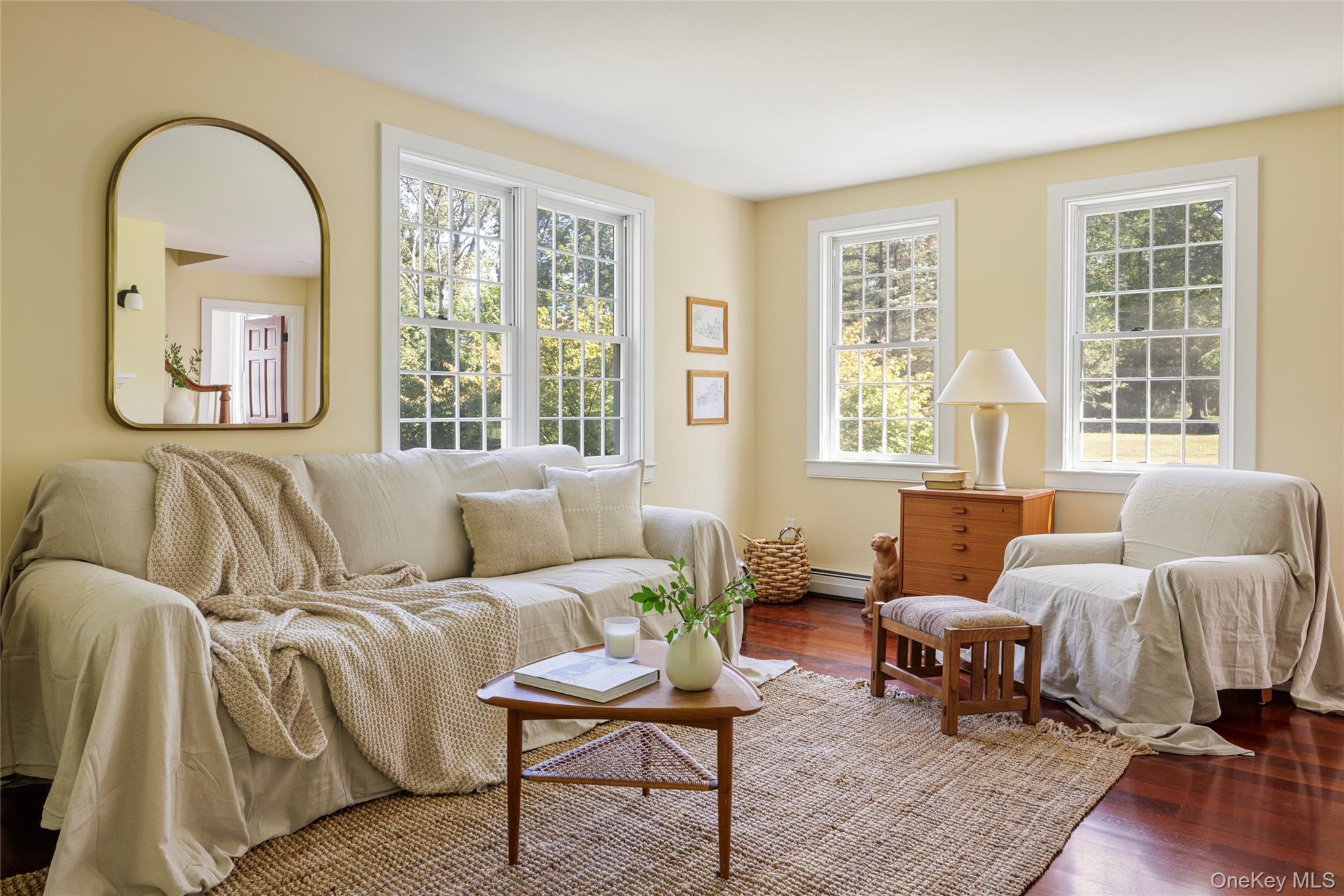 Single Family Green Brook Columbia County, NY 12024, MLS-906650-3