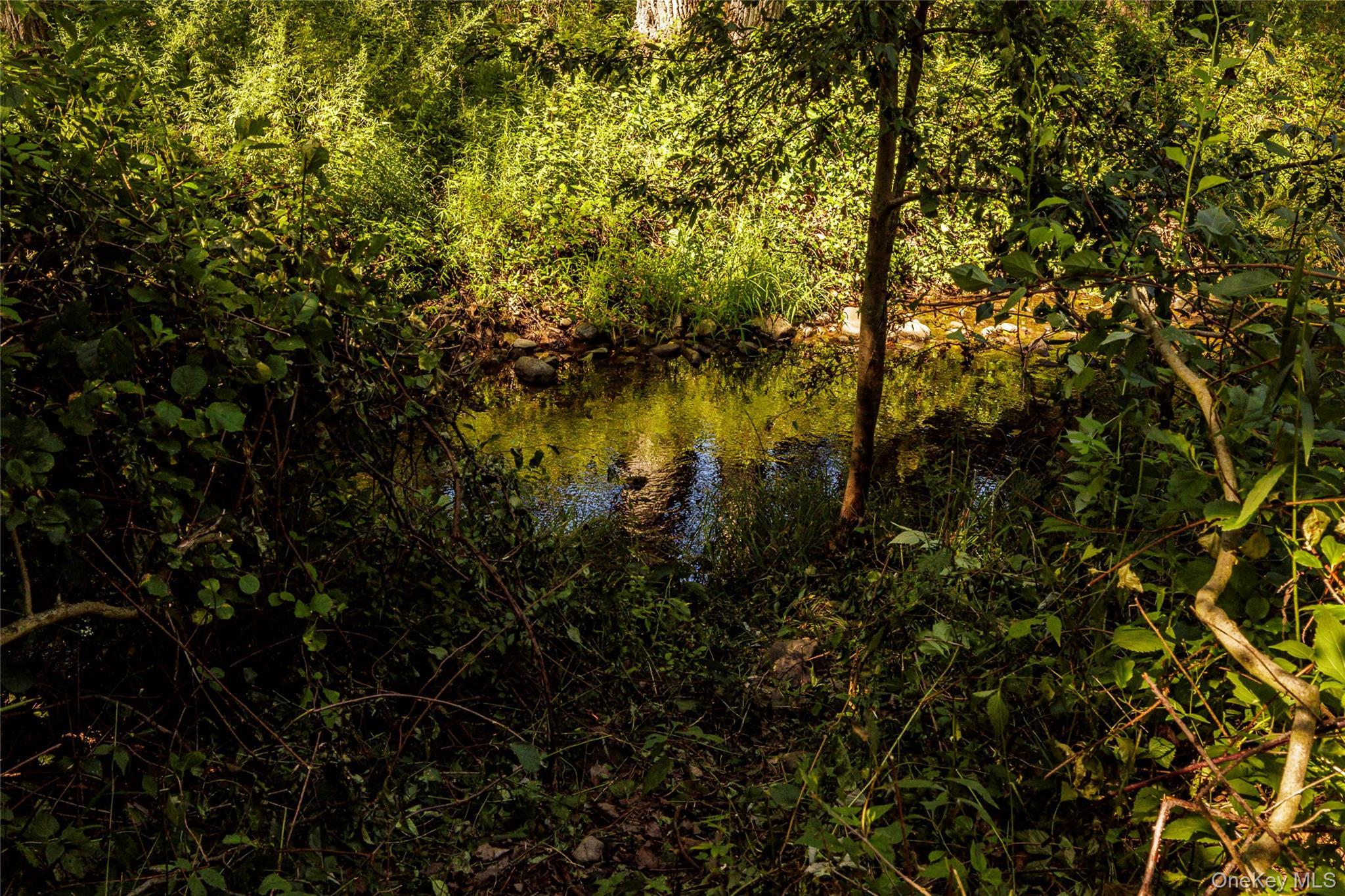 Single Family Green Brook Columbia County, NY 12024, MLS-906650-32