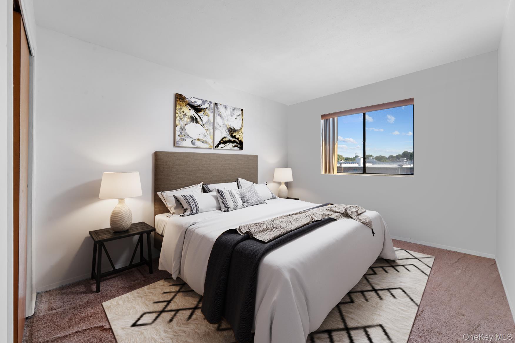Condo Calamus  Queens, NY 11373, MLS-906666-4
