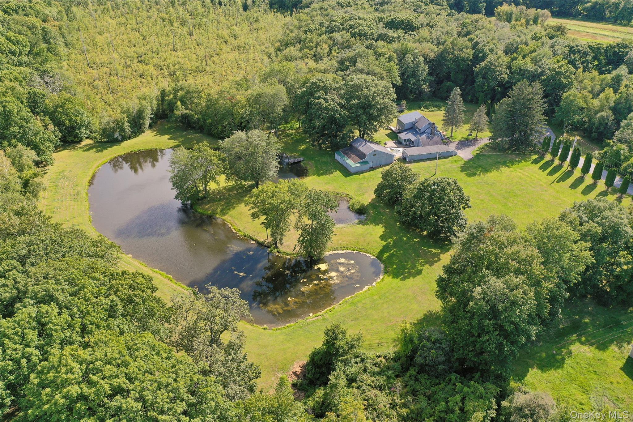 Single Family Deer Pond Dutchess County, NY 12585, MLS-906700-3