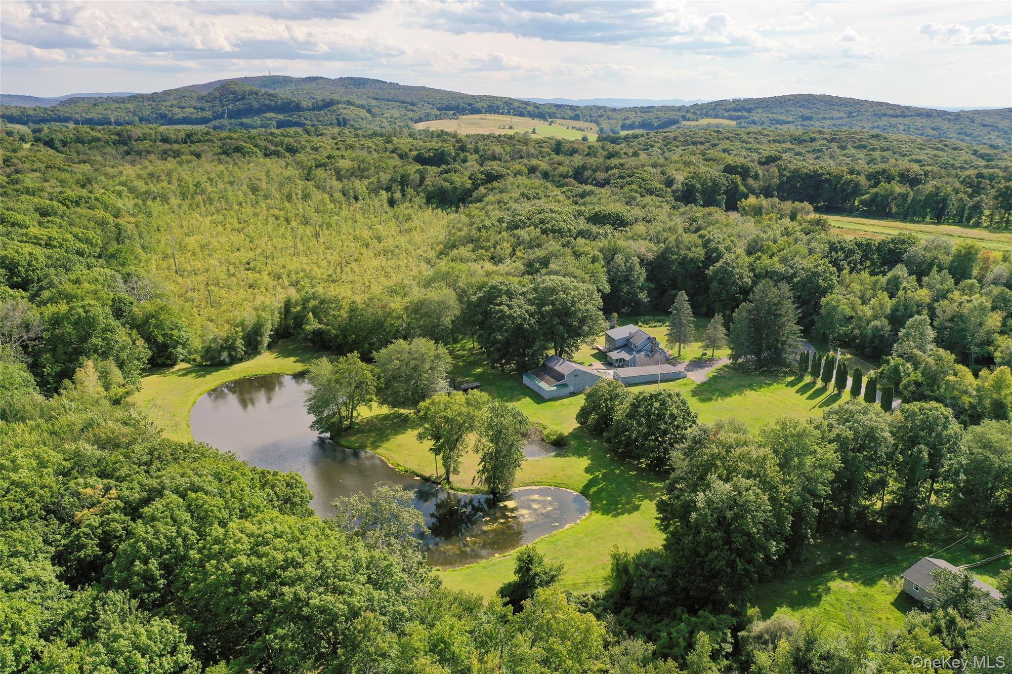 Single Family Deer Pond Dutchess County, NY 12585, MLS-906700-8