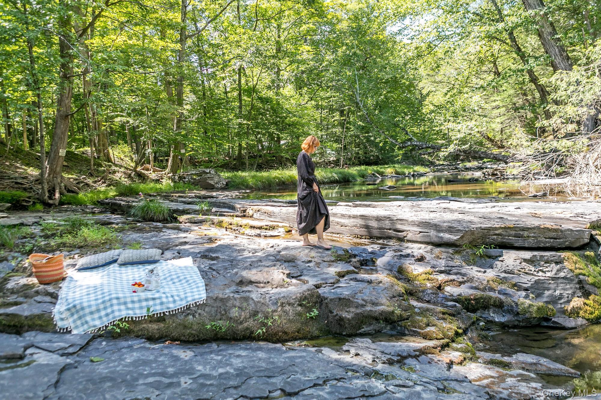 Single Family Ohayo Mountain Ulster County, NY 12498, MLS-906727-2