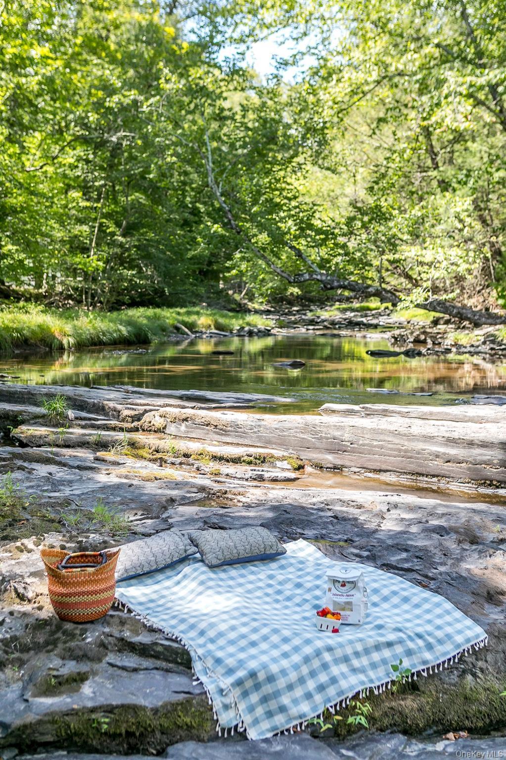 Single Family Ohayo Mountain Ulster County, NY 12498, MLS-906727-24