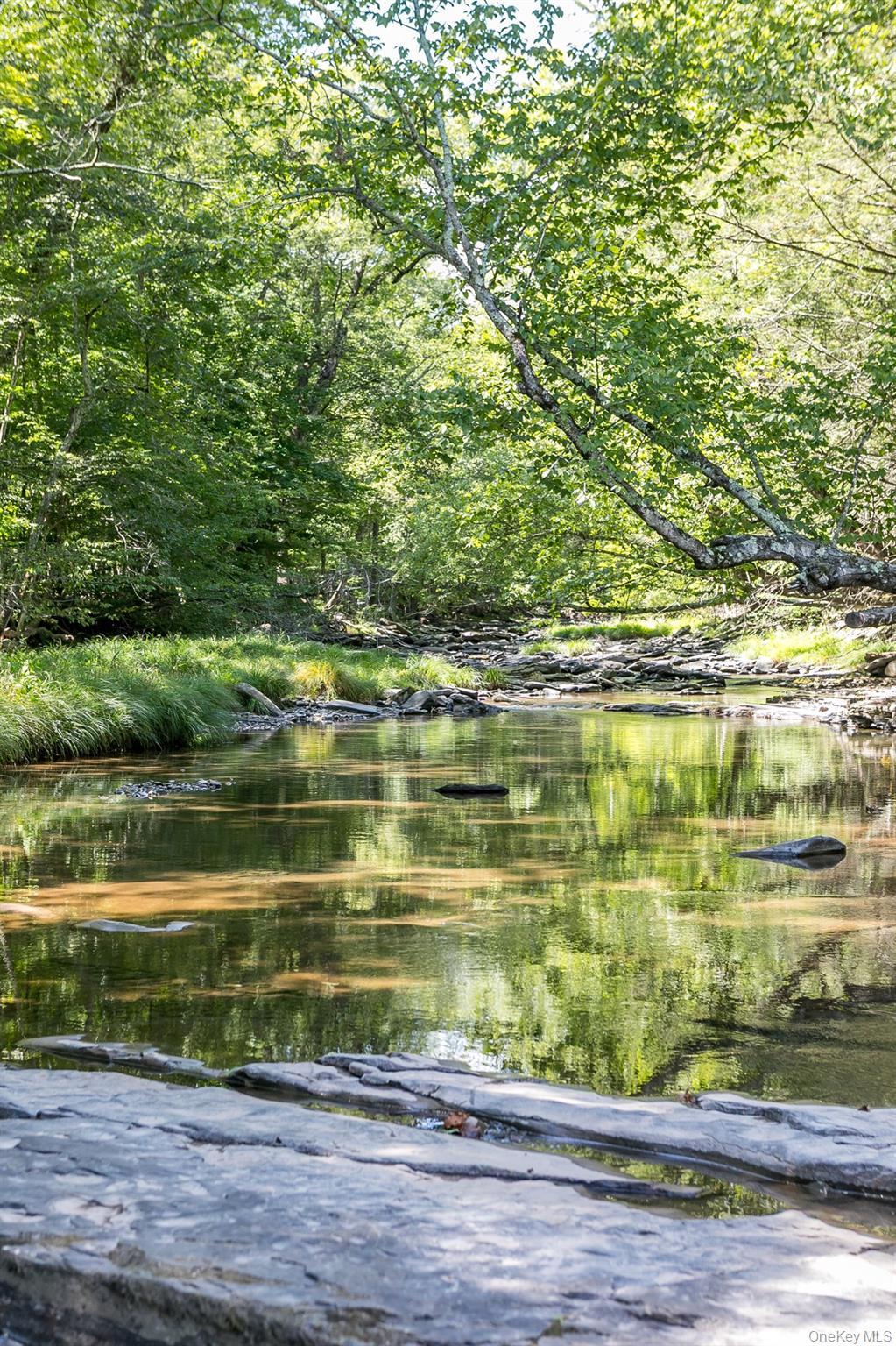 Single Family Ohayo Mountain Ulster County, NY 12498, MLS-906727-3