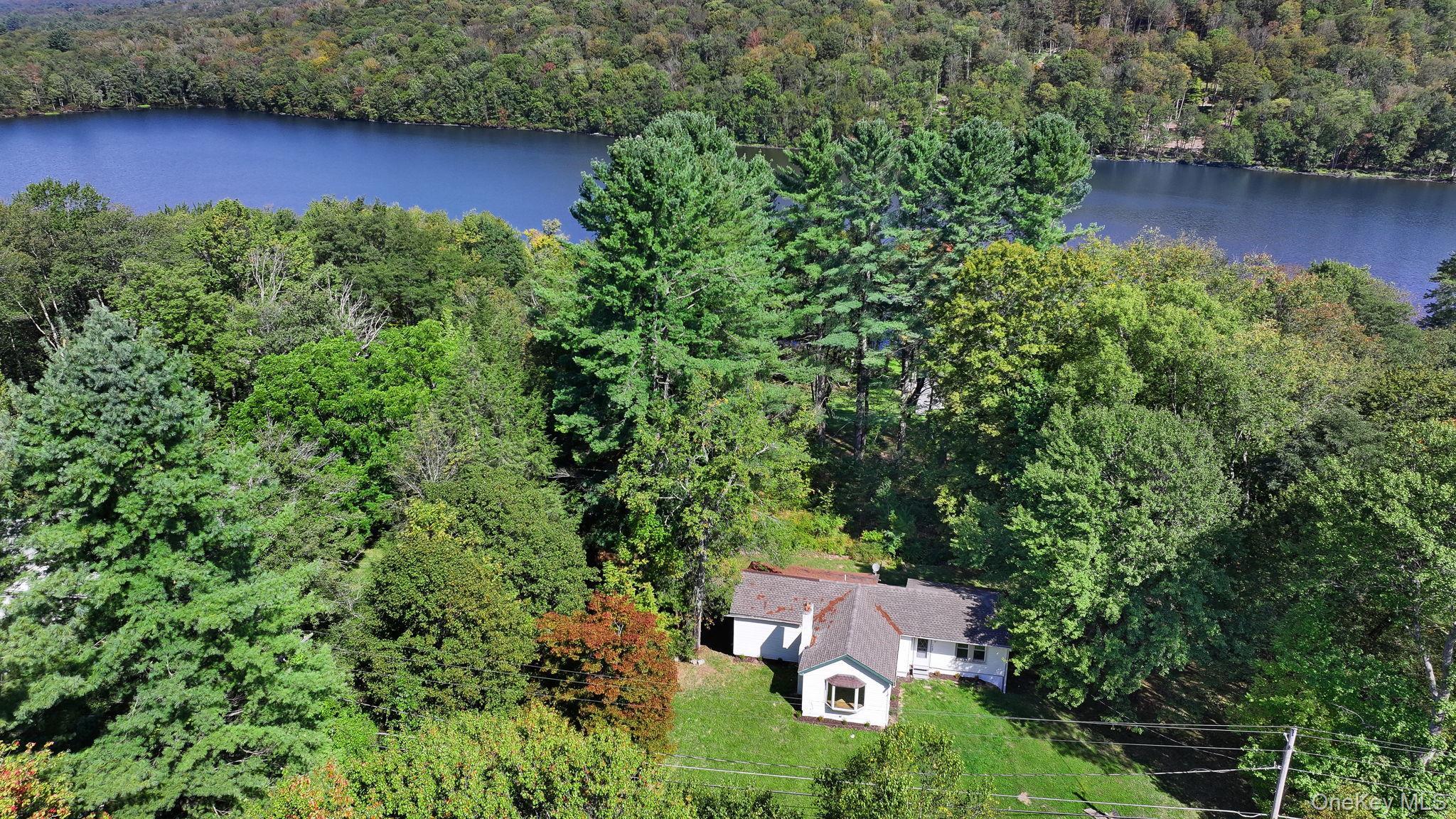 Single Family Briscoe  Sullivan County, NY 12783, MLS-906790-3