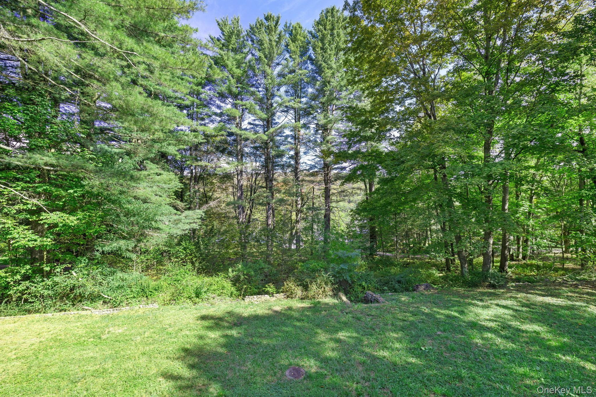 Single Family Briscoe  Sullivan County, NY 12783, MLS-906790-34