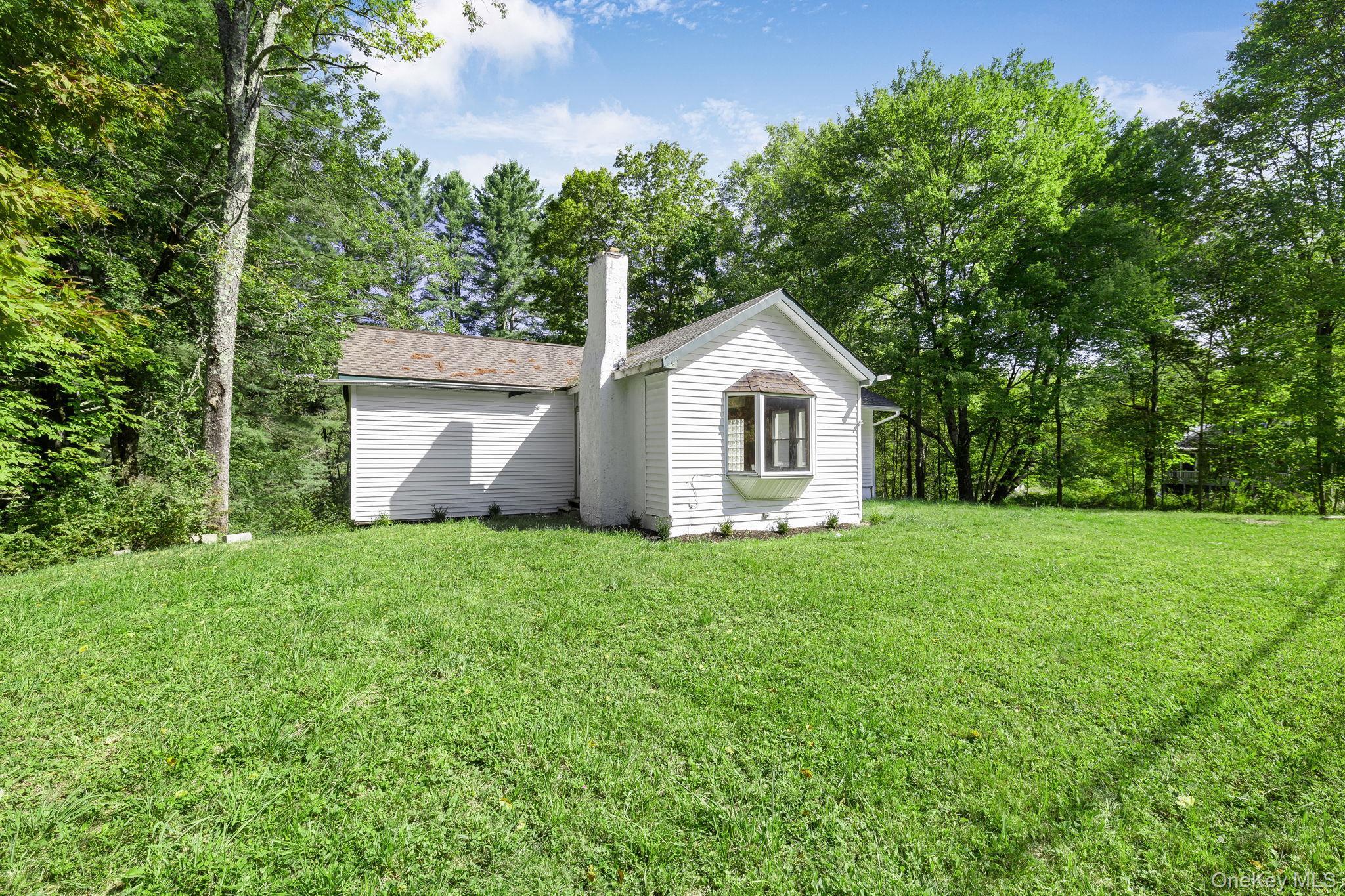 Single Family Briscoe  Sullivan County, NY 12783, MLS-906790-44