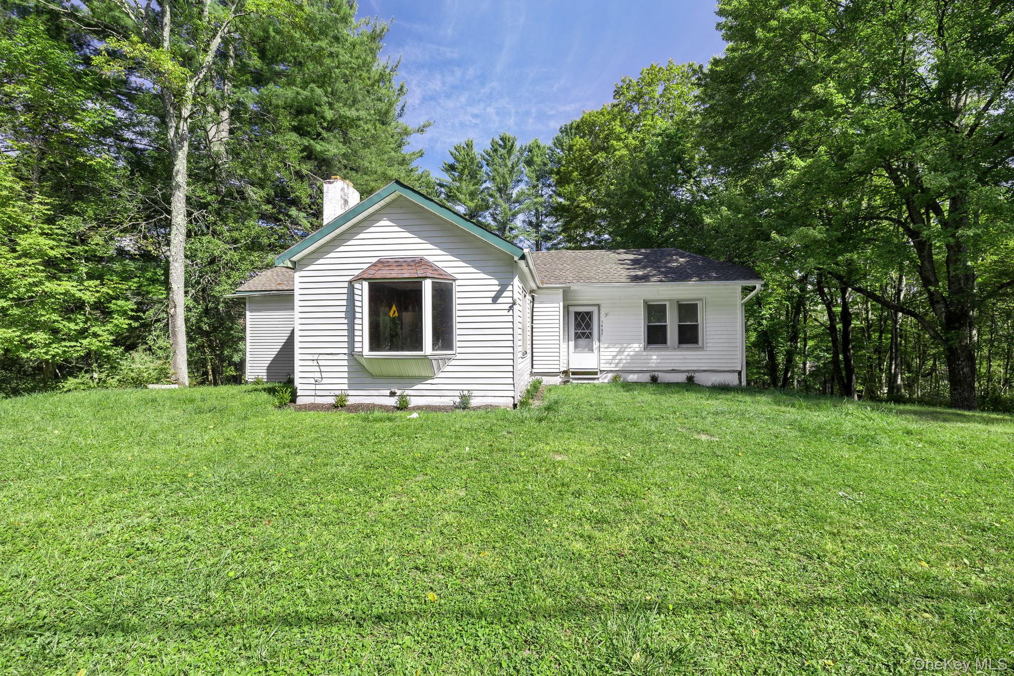 Single Family Briscoe  Sullivan County, NY 12783, MLS-906790-45