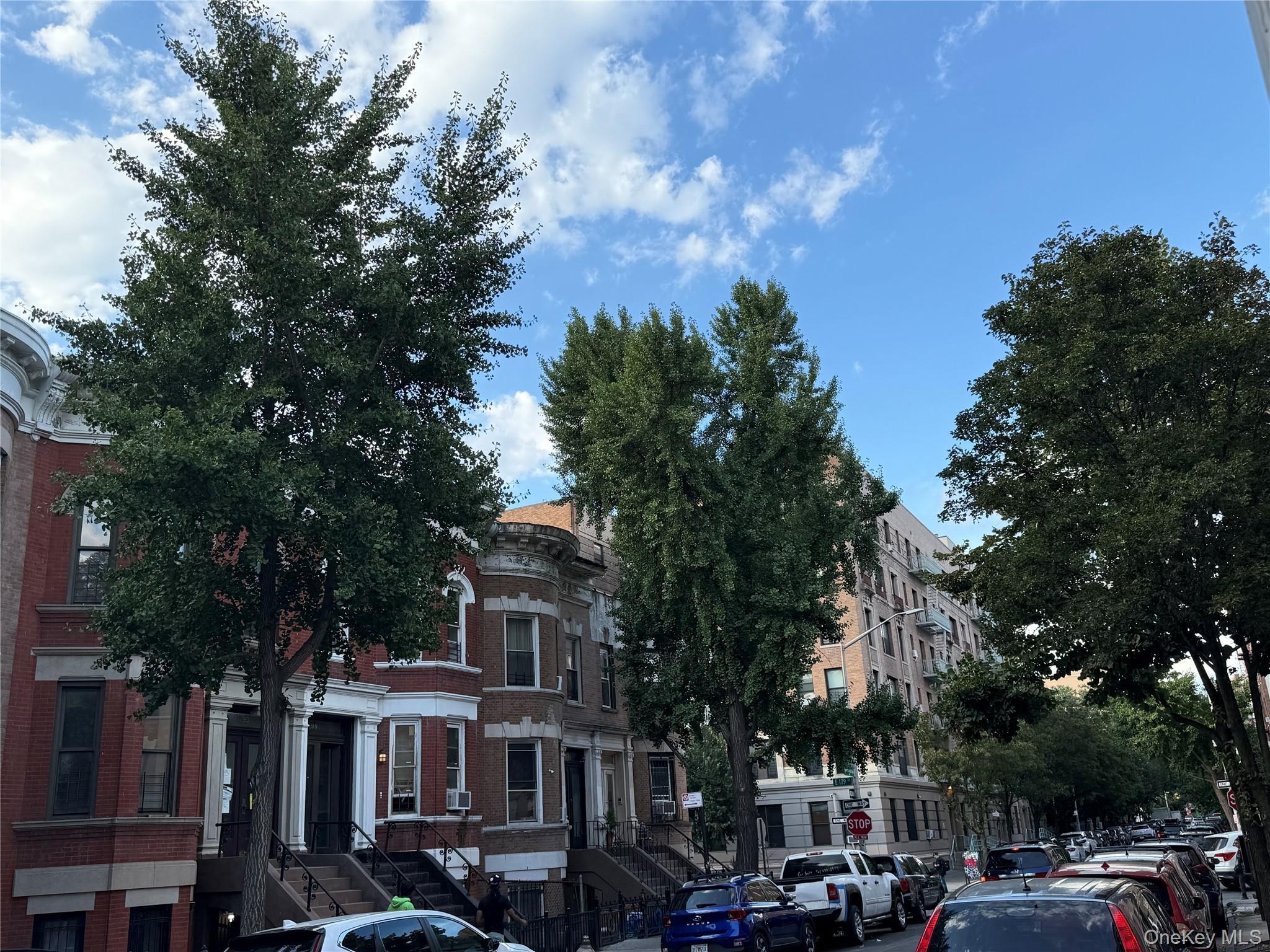 Single Family Morris Bronx, NY 10453, MLS-906828-6