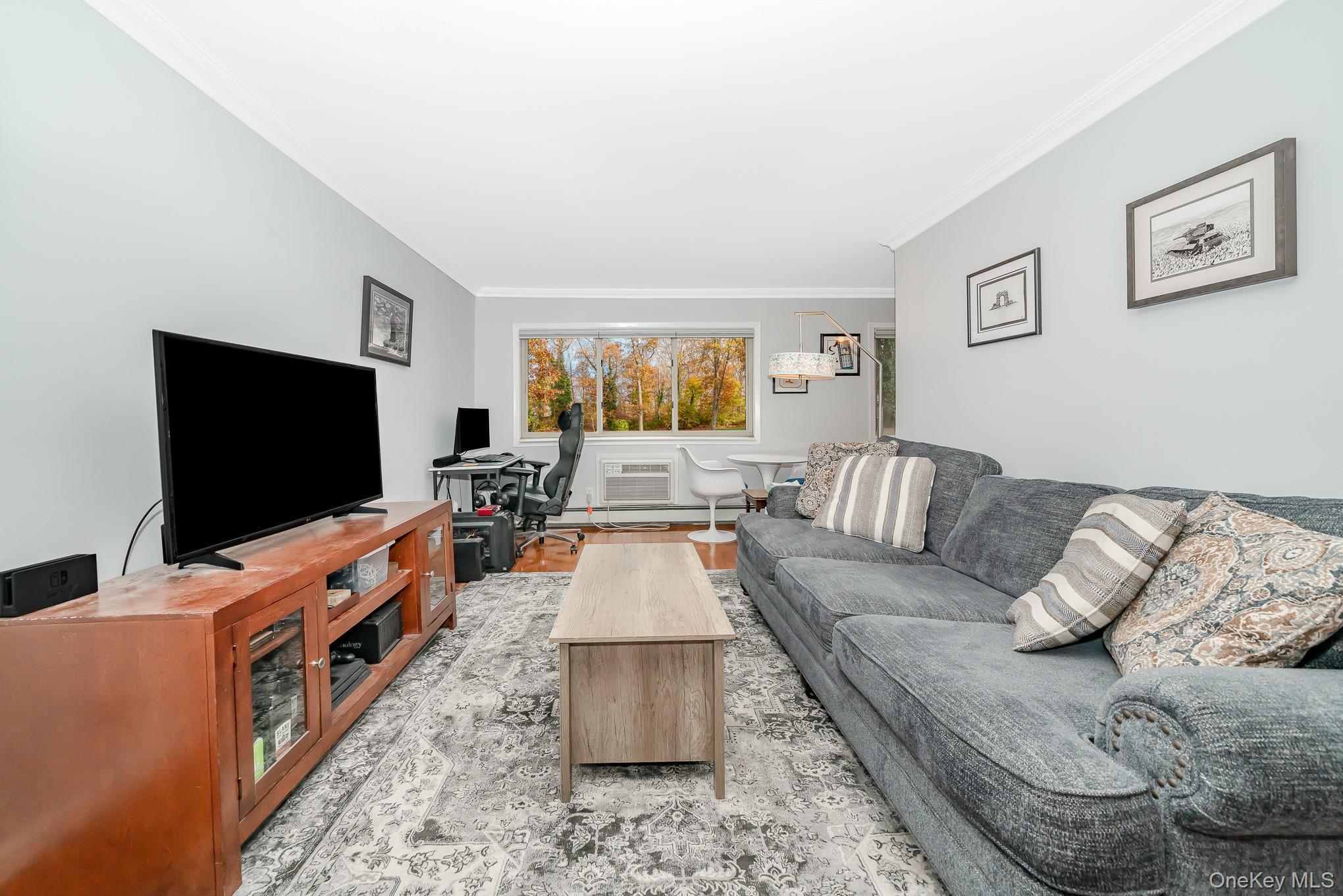 Coop Union Boulevard  Suffolk County, NY 11751, MLS-906849-6