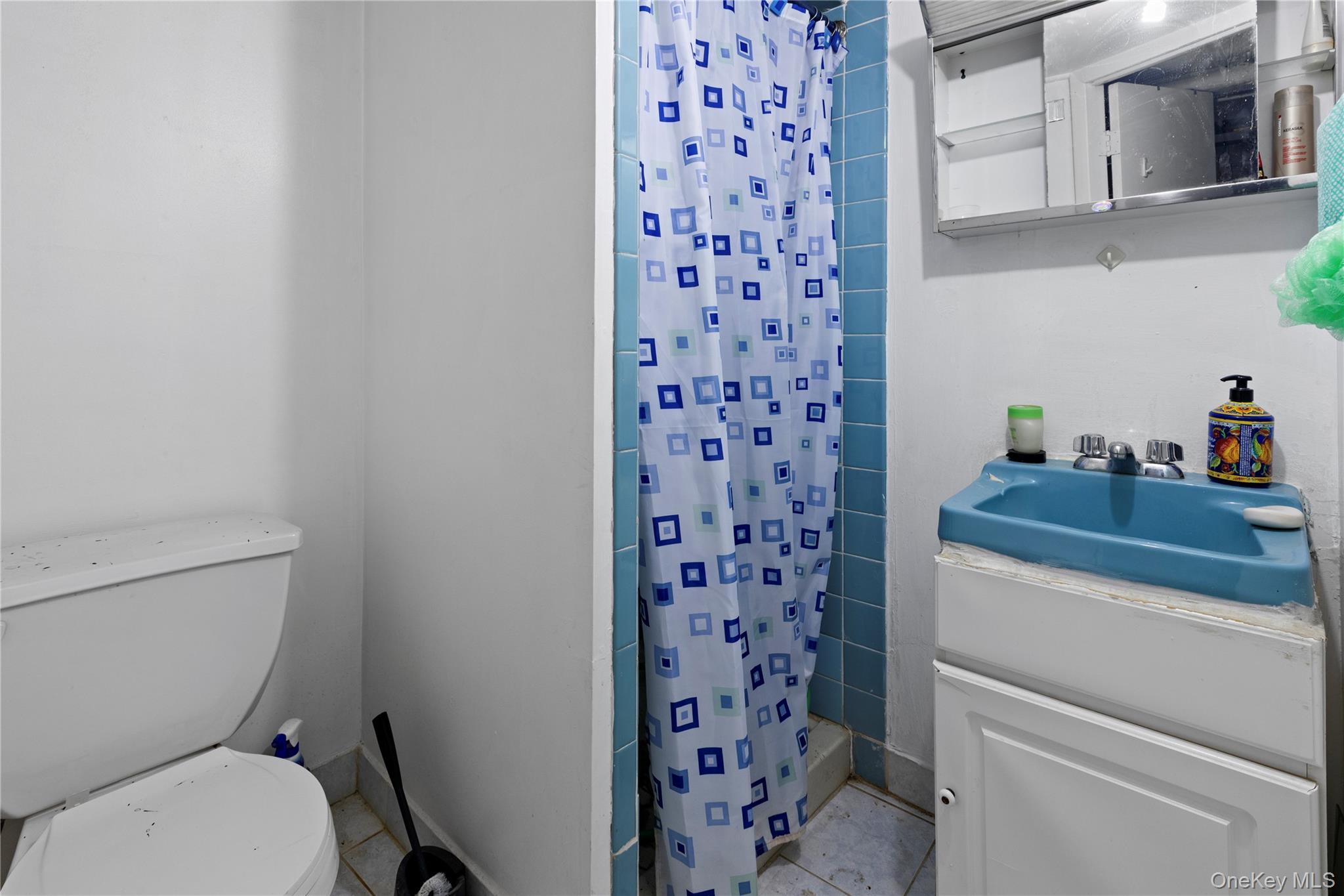 Single Family Wetherole Queens, NY 11374, MLS-906897-15