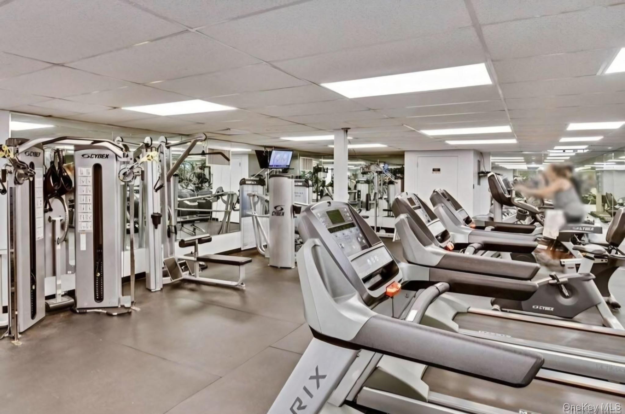 Coop 166th  Queens, NY 11357, MLS-906917-18