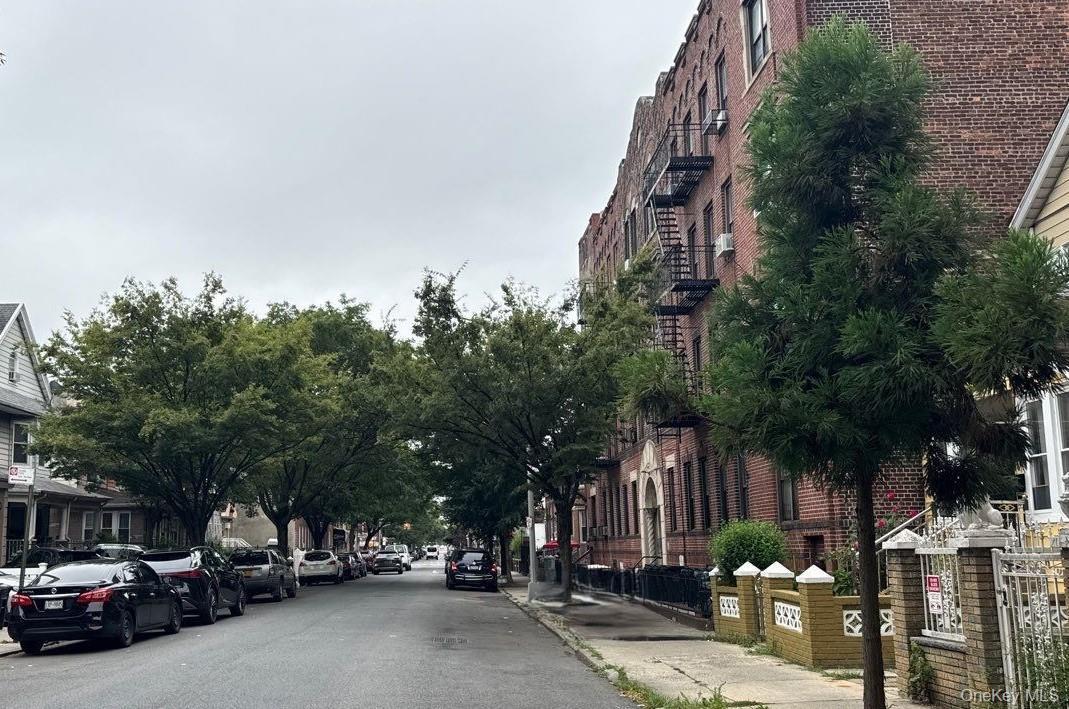 Single Family 49th  Brooklyn, NY 11203, MLS-906983-3