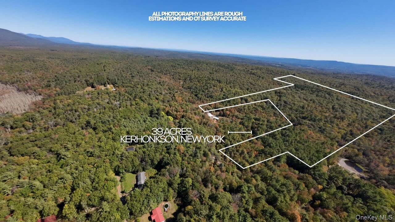 Single Family Pine Grove Rd  Ulster County, NY 12446, MLS-907013-8