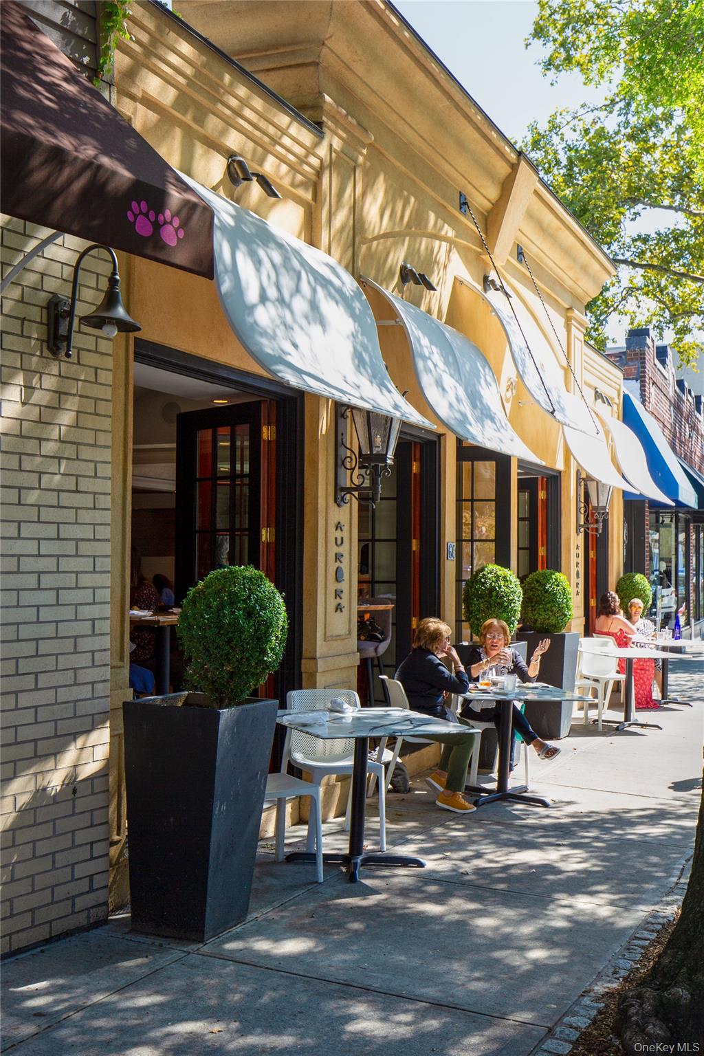 Single Family Thorne Westchester County, NY 10580, MLS-907034-8