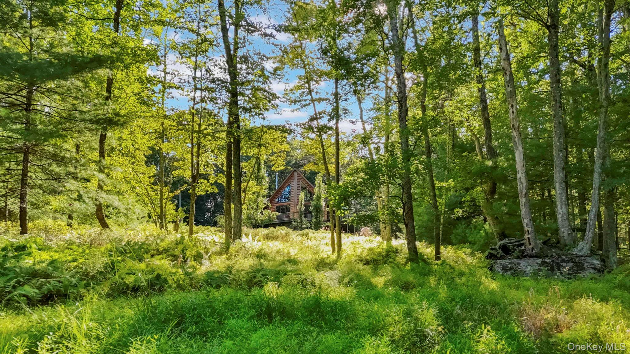 Single Family Australia  Sullivan County, NY 12737, MLS-907075-31