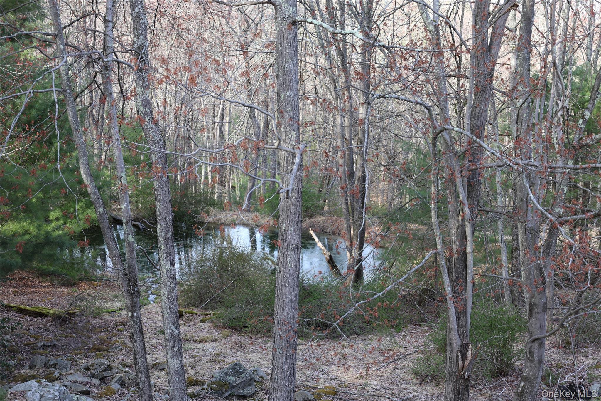 Single Family Australia  Sullivan County, NY 12737, MLS-907075-44