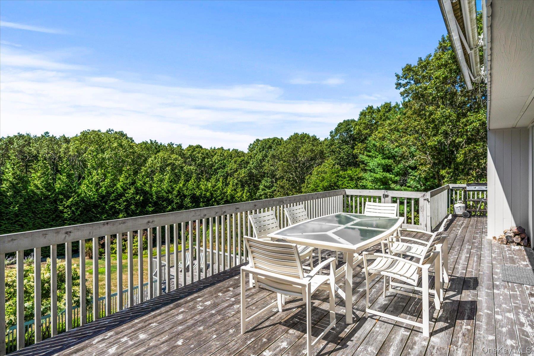 Single Family Deer Trail Suffolk County, NY 11968, MLS-907171-14