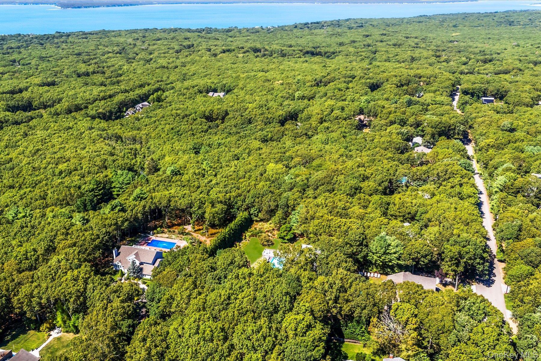 Single Family Deer Trail Suffolk County, NY 11968, MLS-907171-4