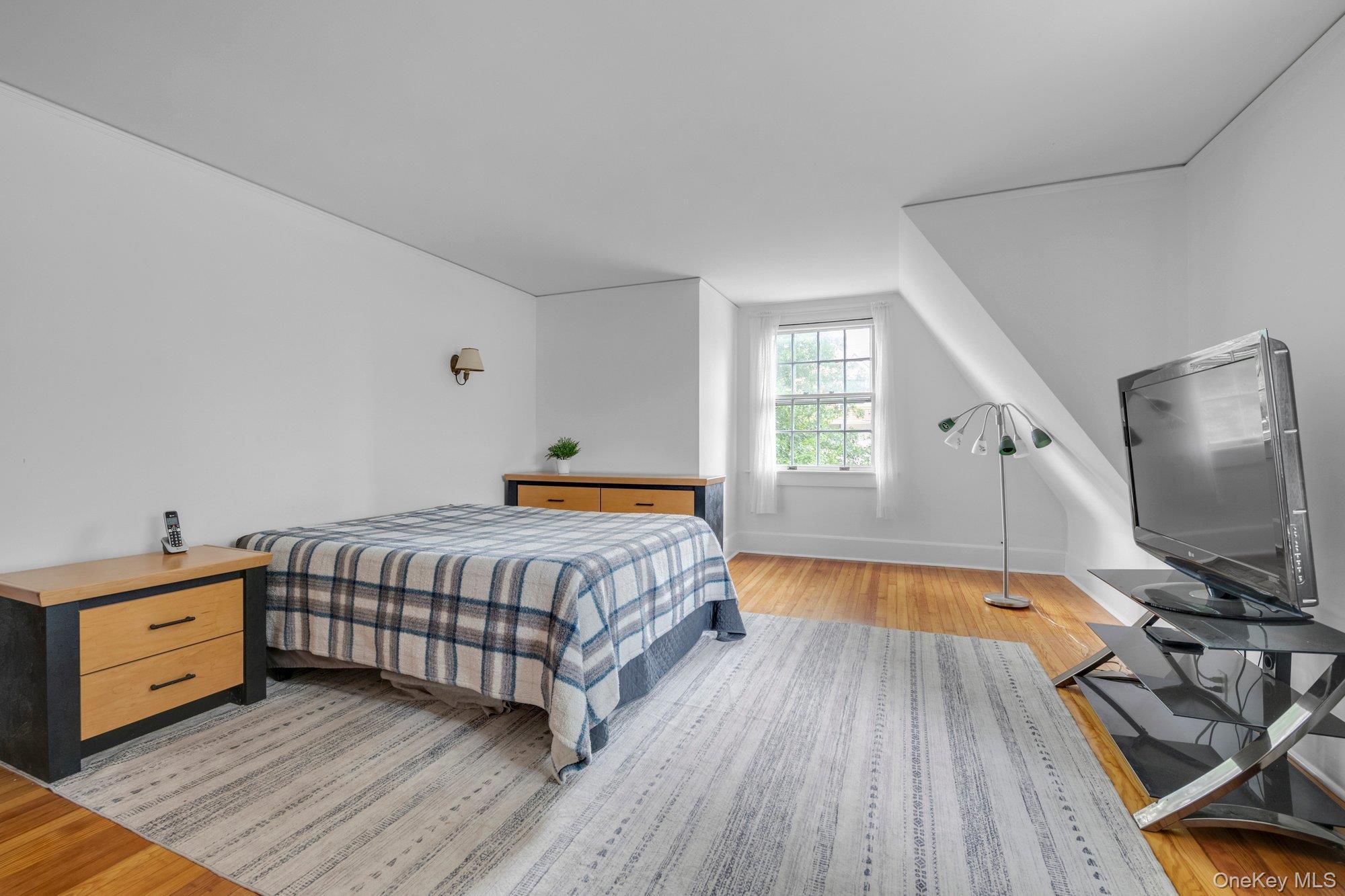 Single Family Nassau Nassau County, NY 11530, MLS-907179-13