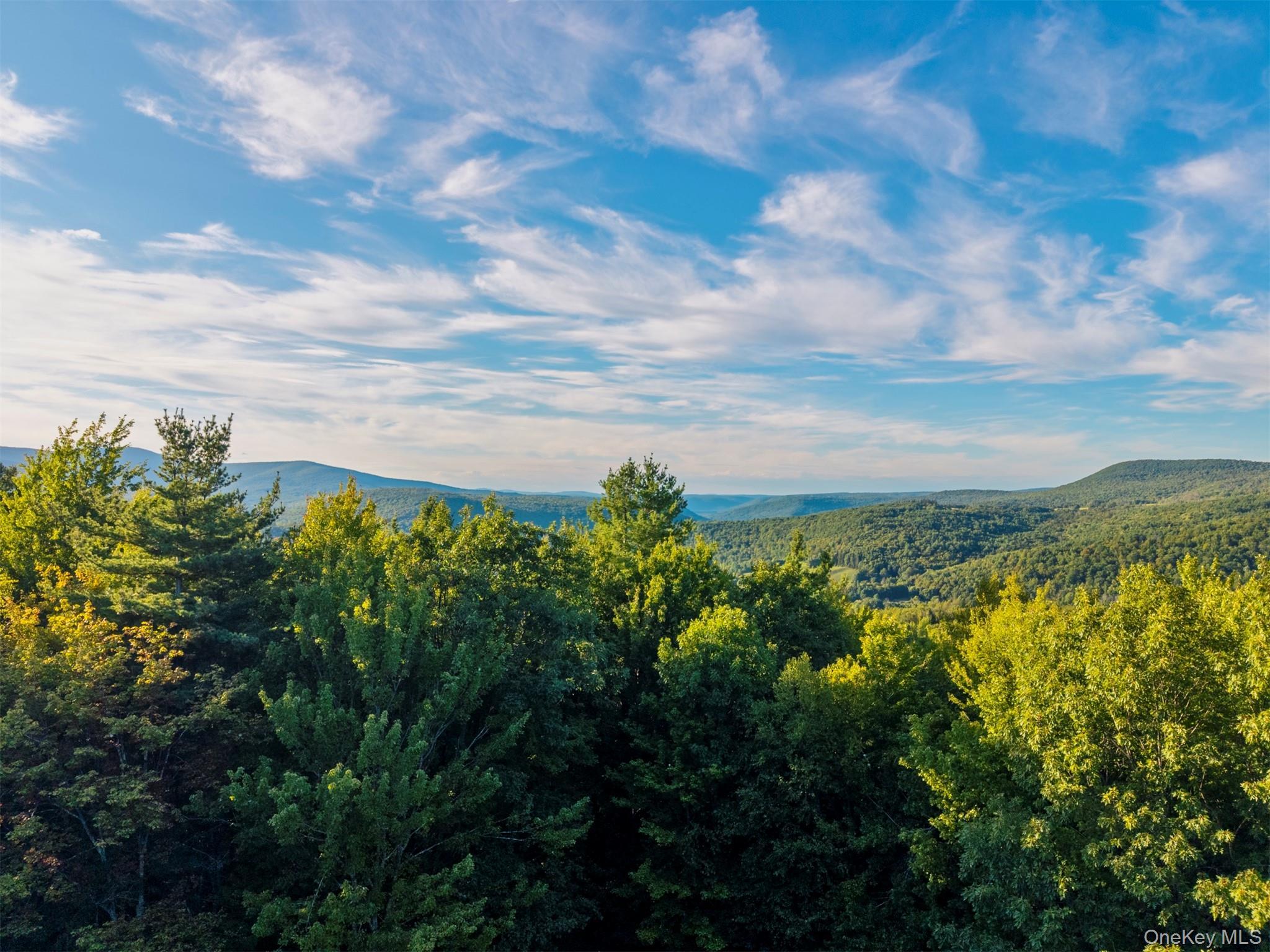 Single Family Terrace Greene County, NY 12452, MLS-907211-43