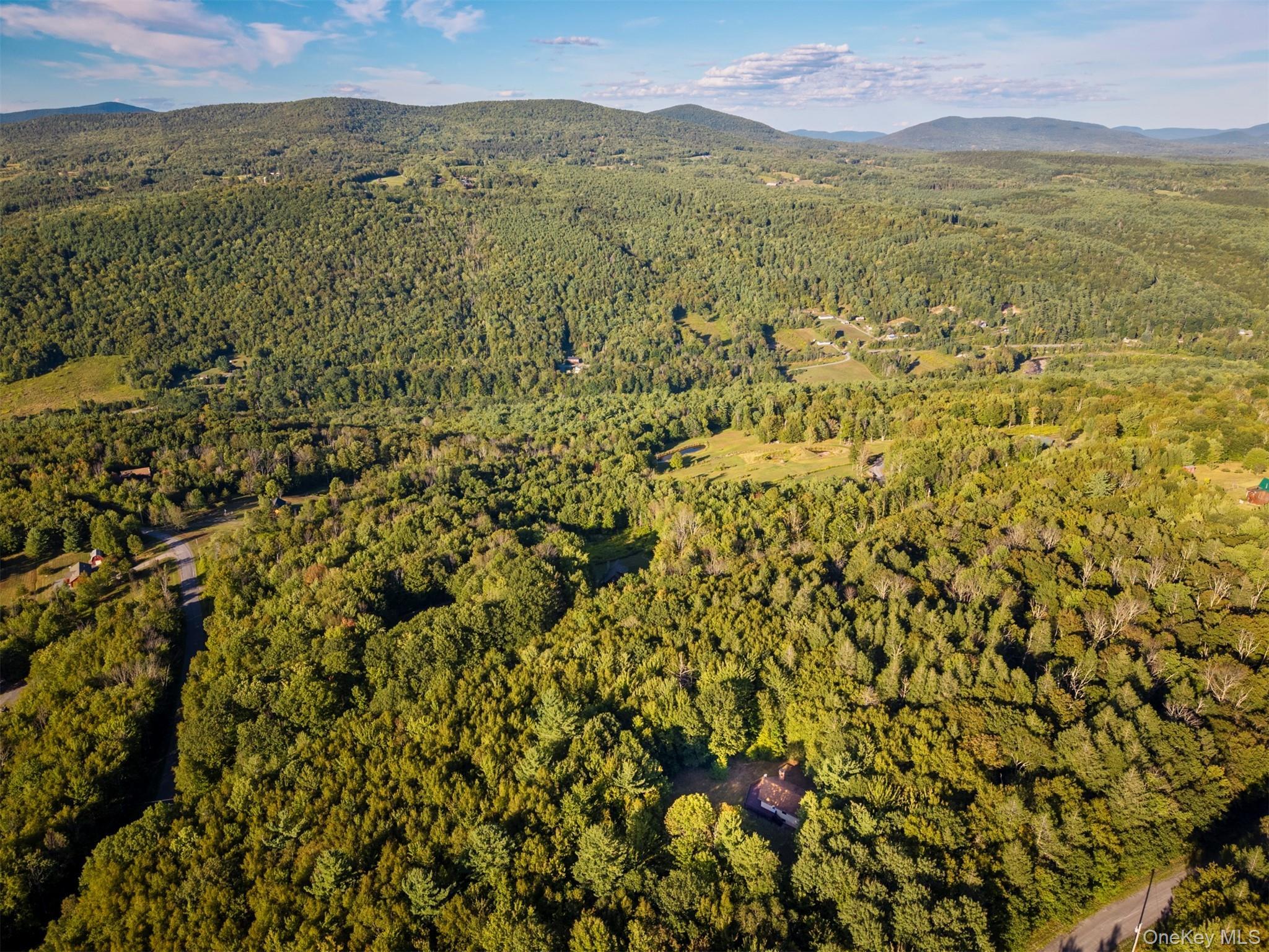 Single Family Terrace Greene County, NY 12452, MLS-907211-44