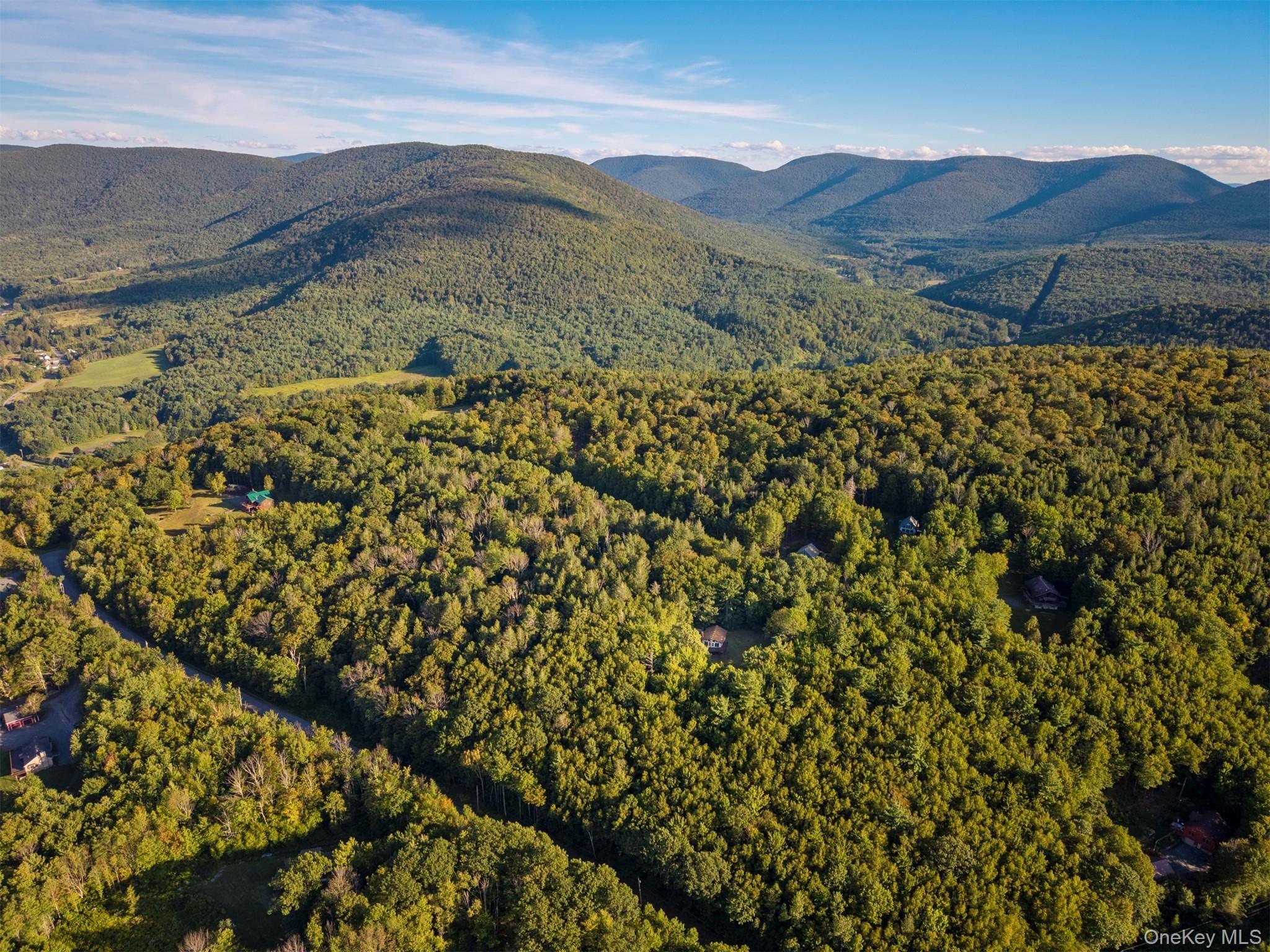 Single Family Terrace Greene County, NY 12452, MLS-907211-45