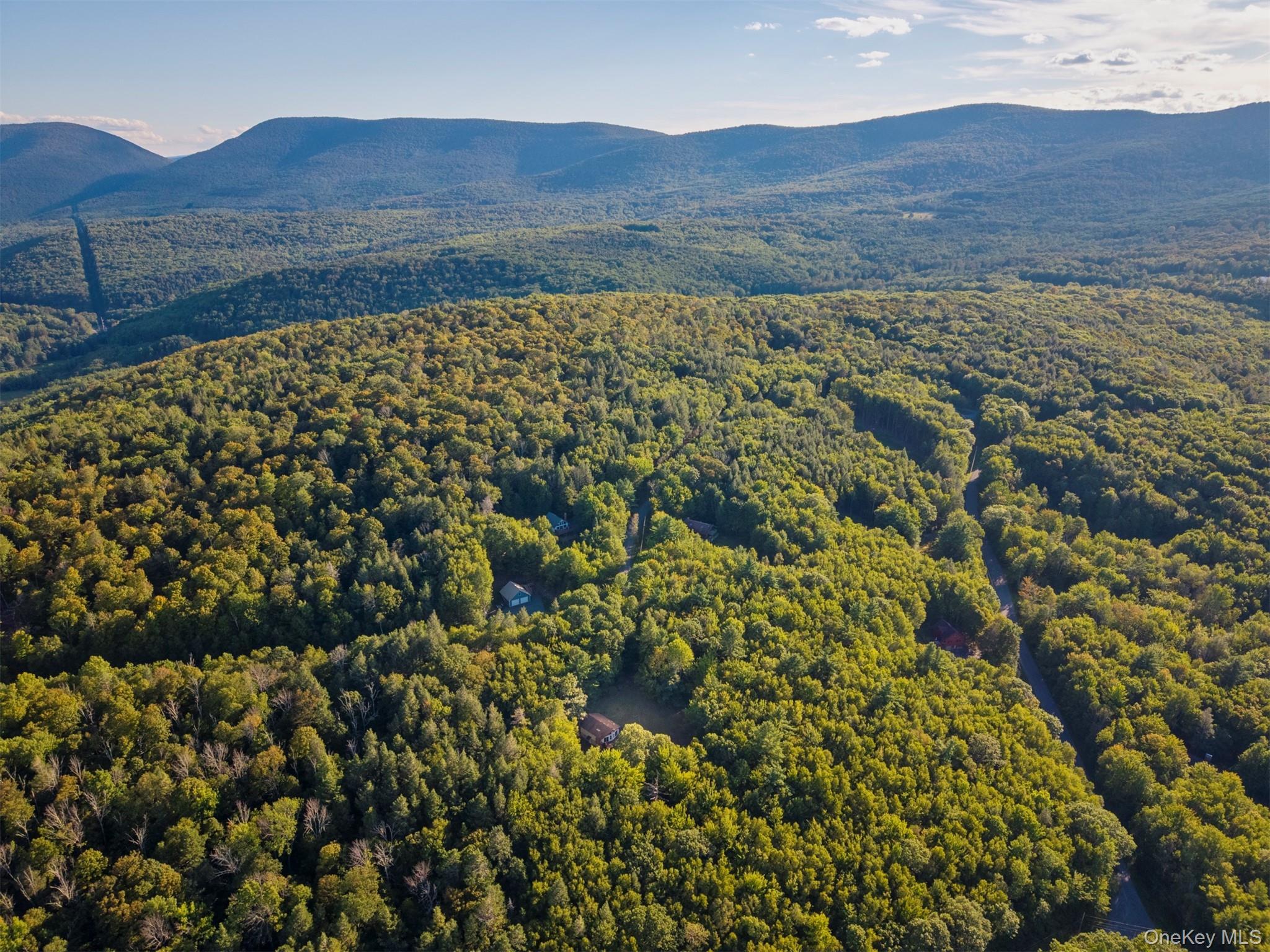 Single Family Terrace Greene County, NY 12452, MLS-907211-46