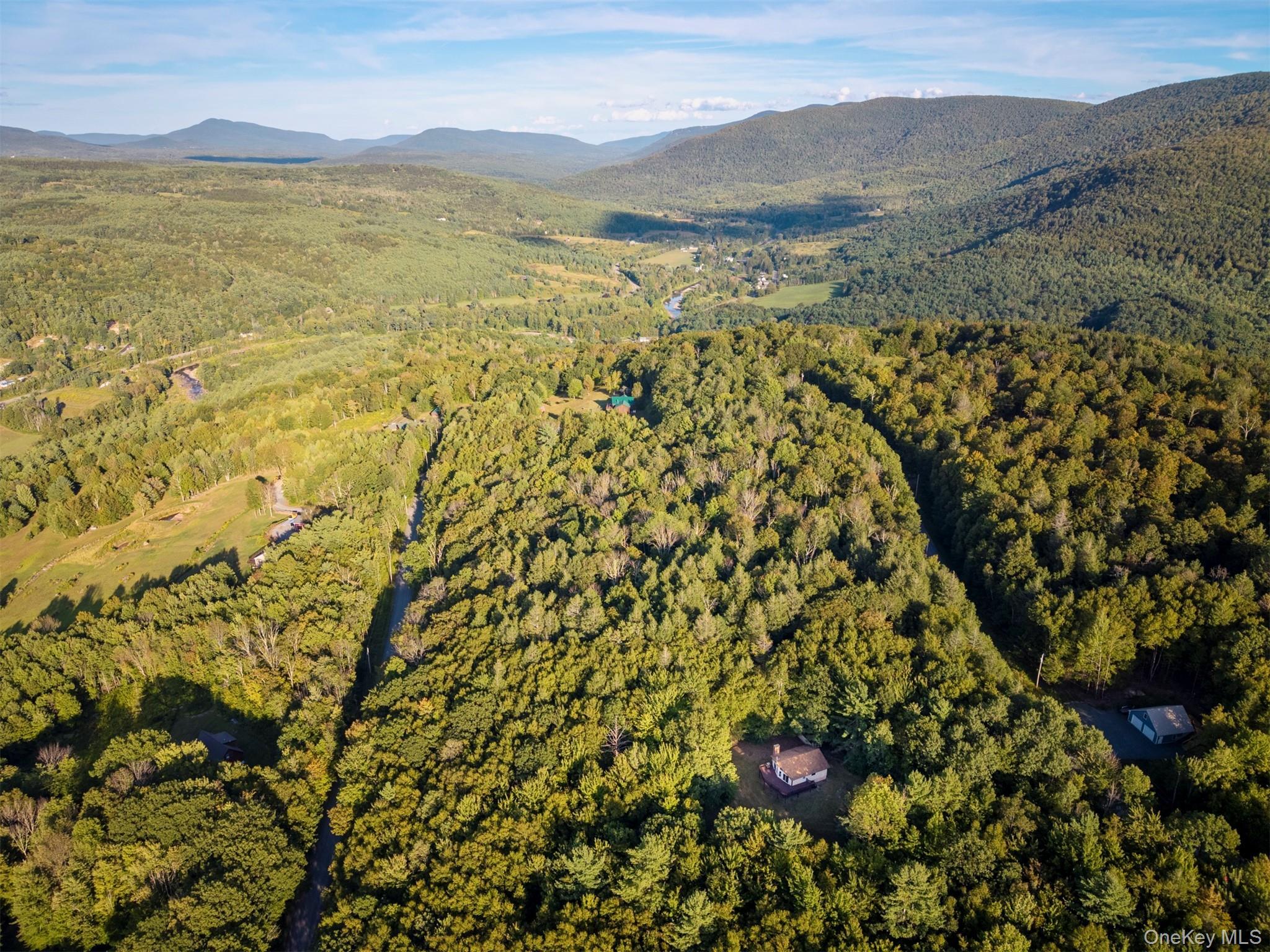 Single Family Terrace Greene County, NY 12452, MLS-907211-47