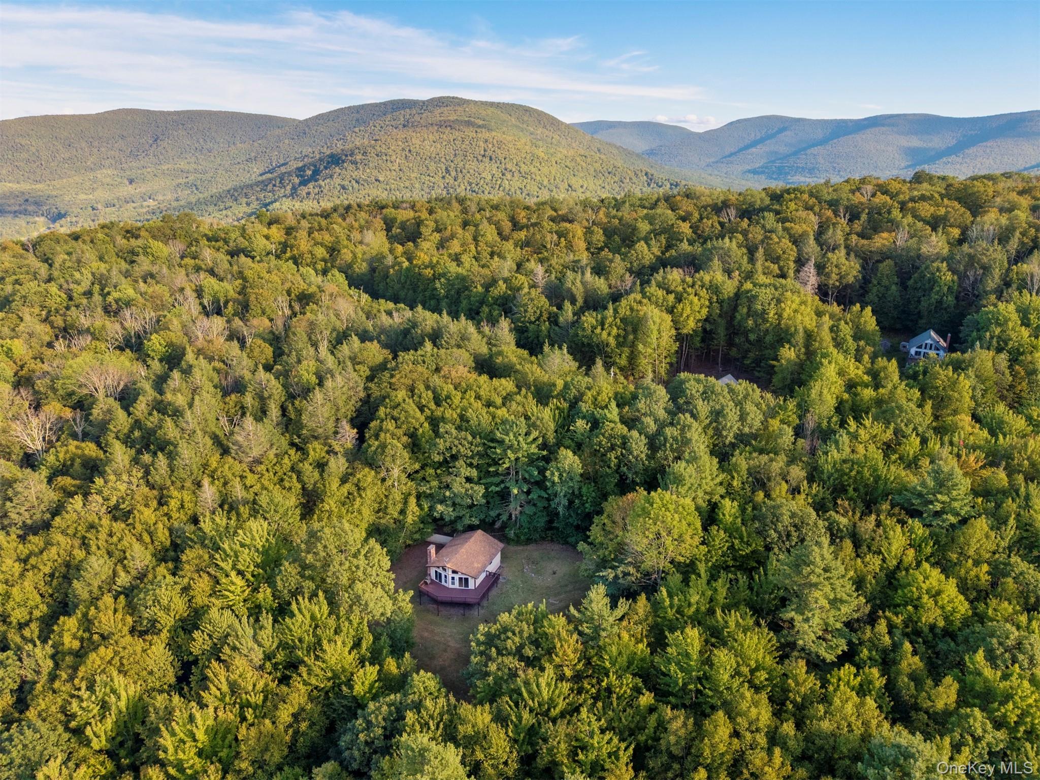 Single Family Terrace Greene County, NY 12452, MLS-907211-5