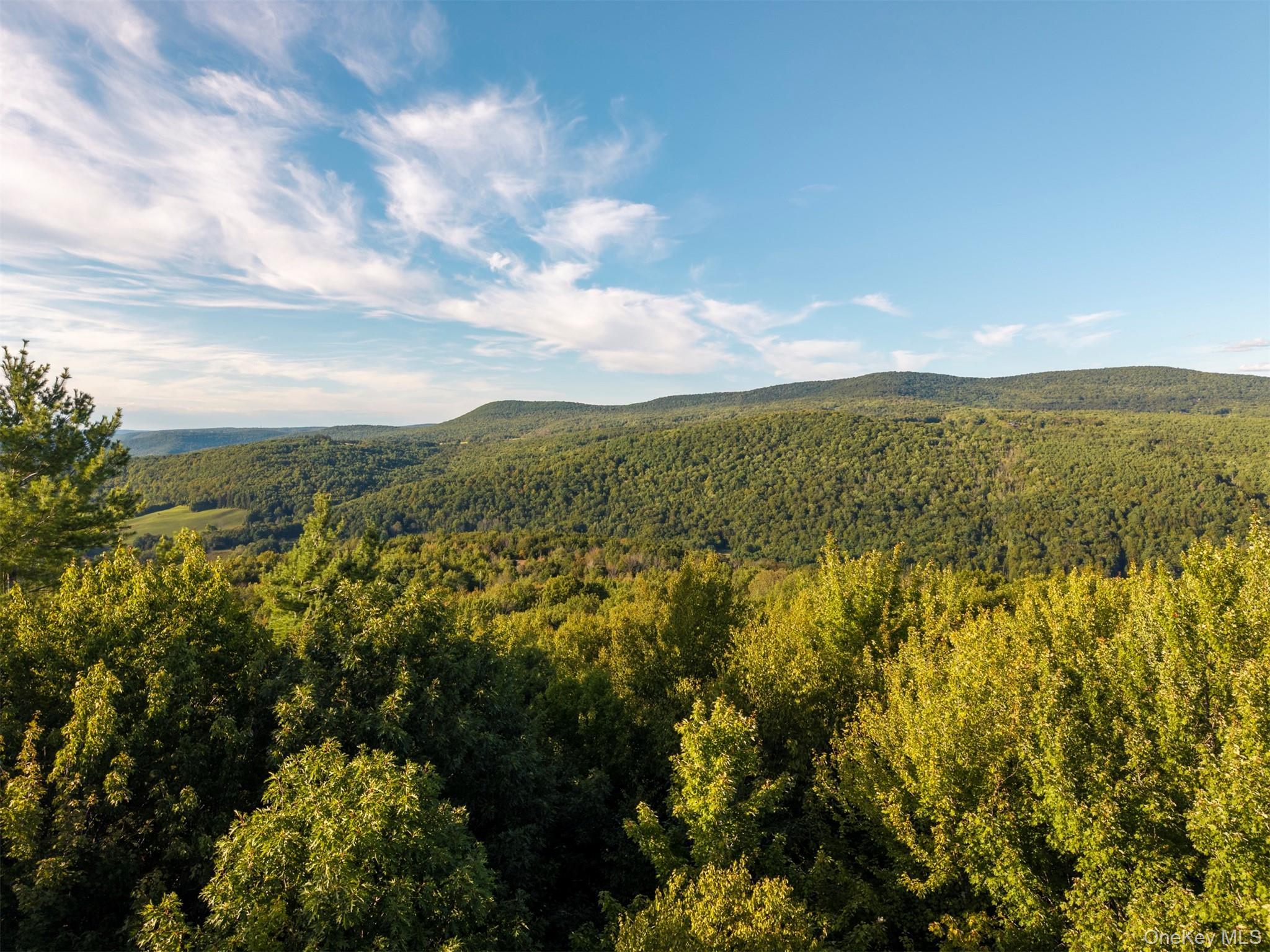 Single Family Terrace Greene County, NY 12452, MLS-907211-6