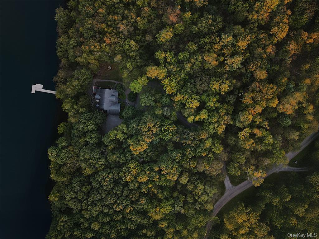 Single Family Homestead Sullivan County, NY 12786, MLS-907278-20